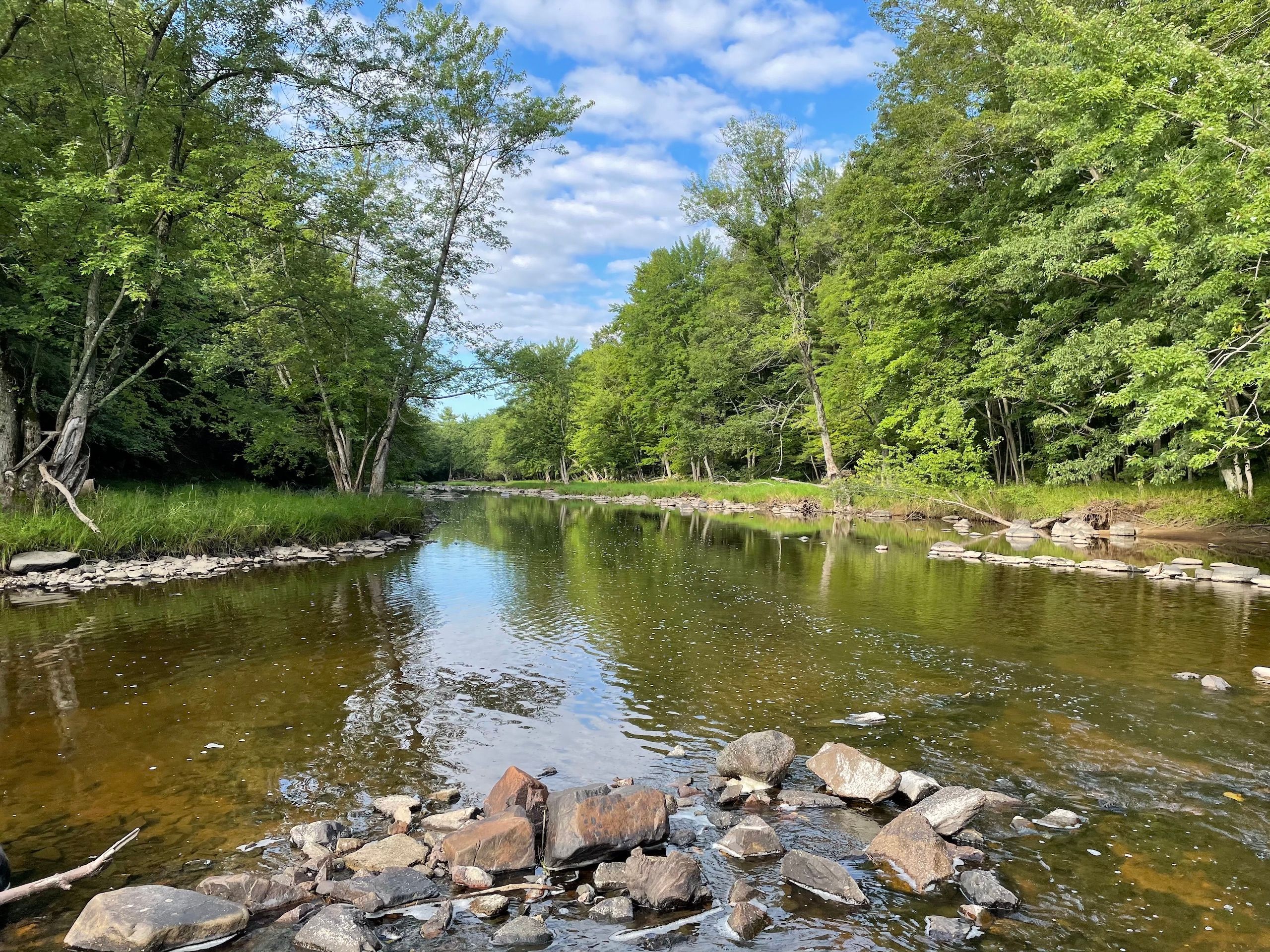 Cty Hwy A, Pittsville, WI 54466