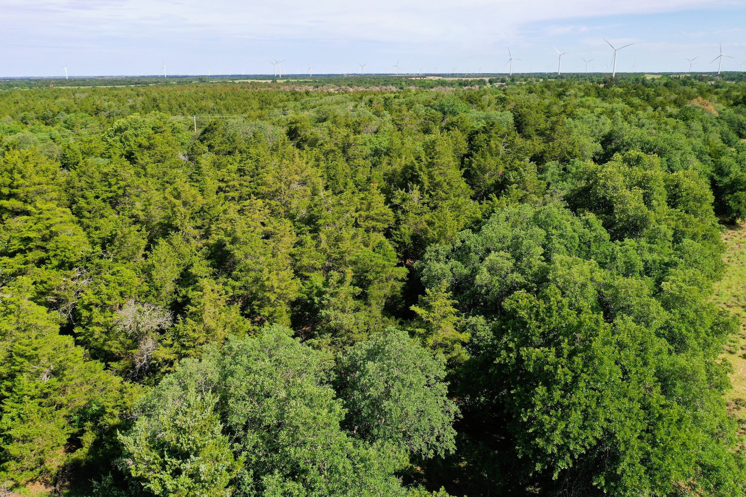 120 acres in Dewey County, Oklahoma