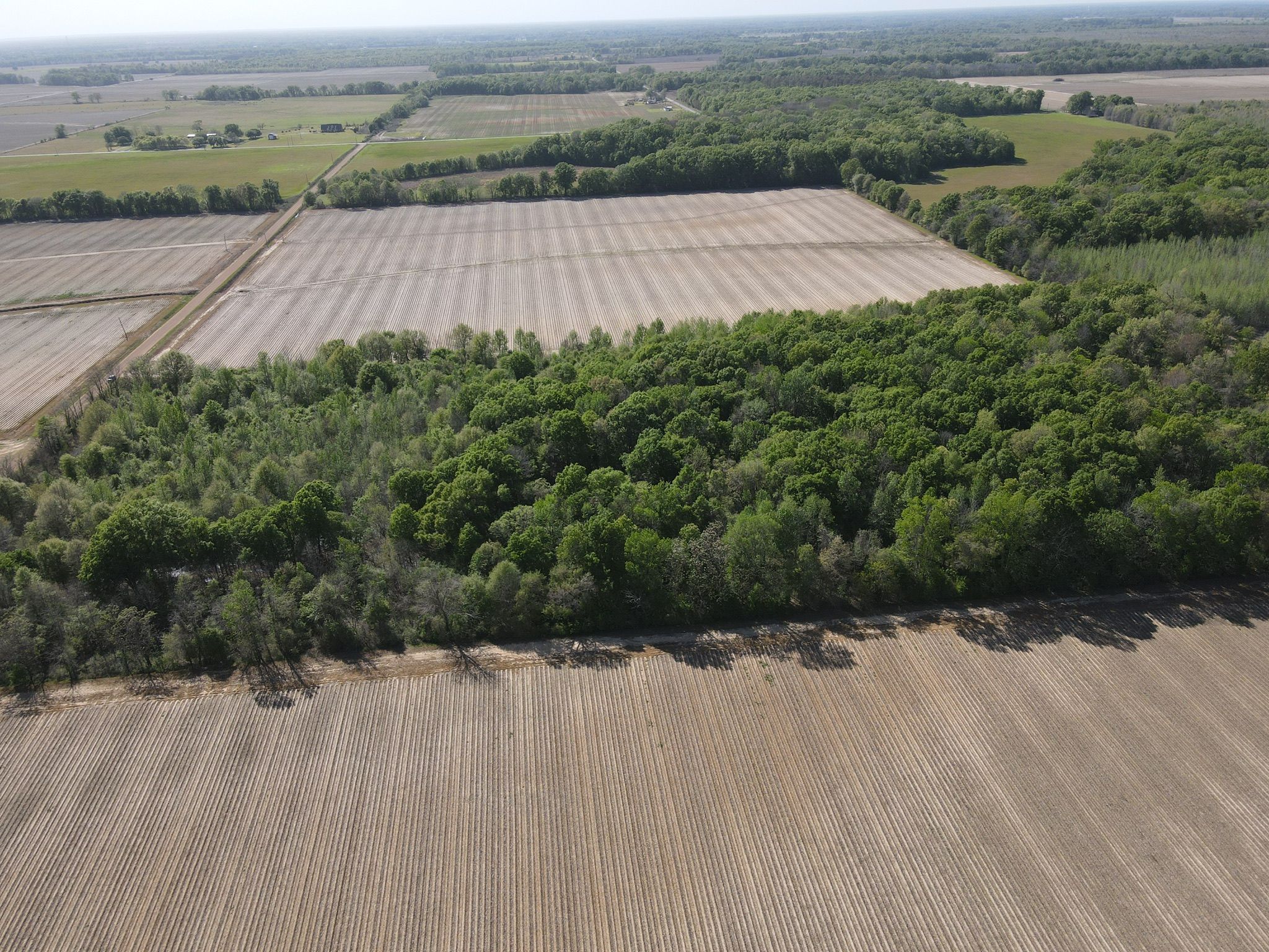 18.5 acres in Franklin Parish, Louisiana