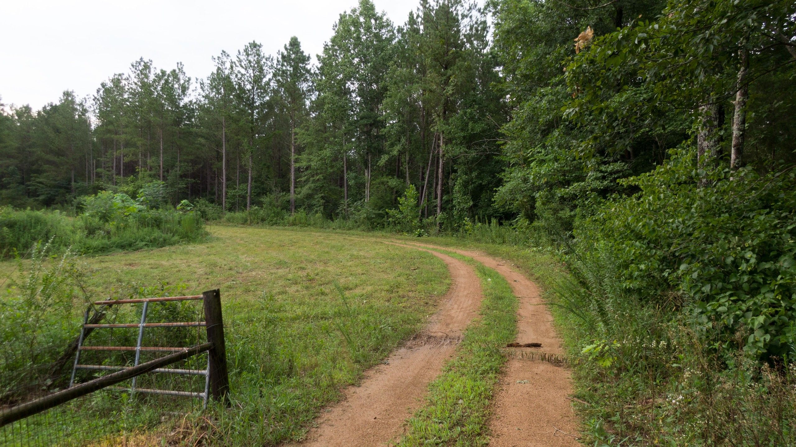 64.4 acres in Lawrence County, Tennessee