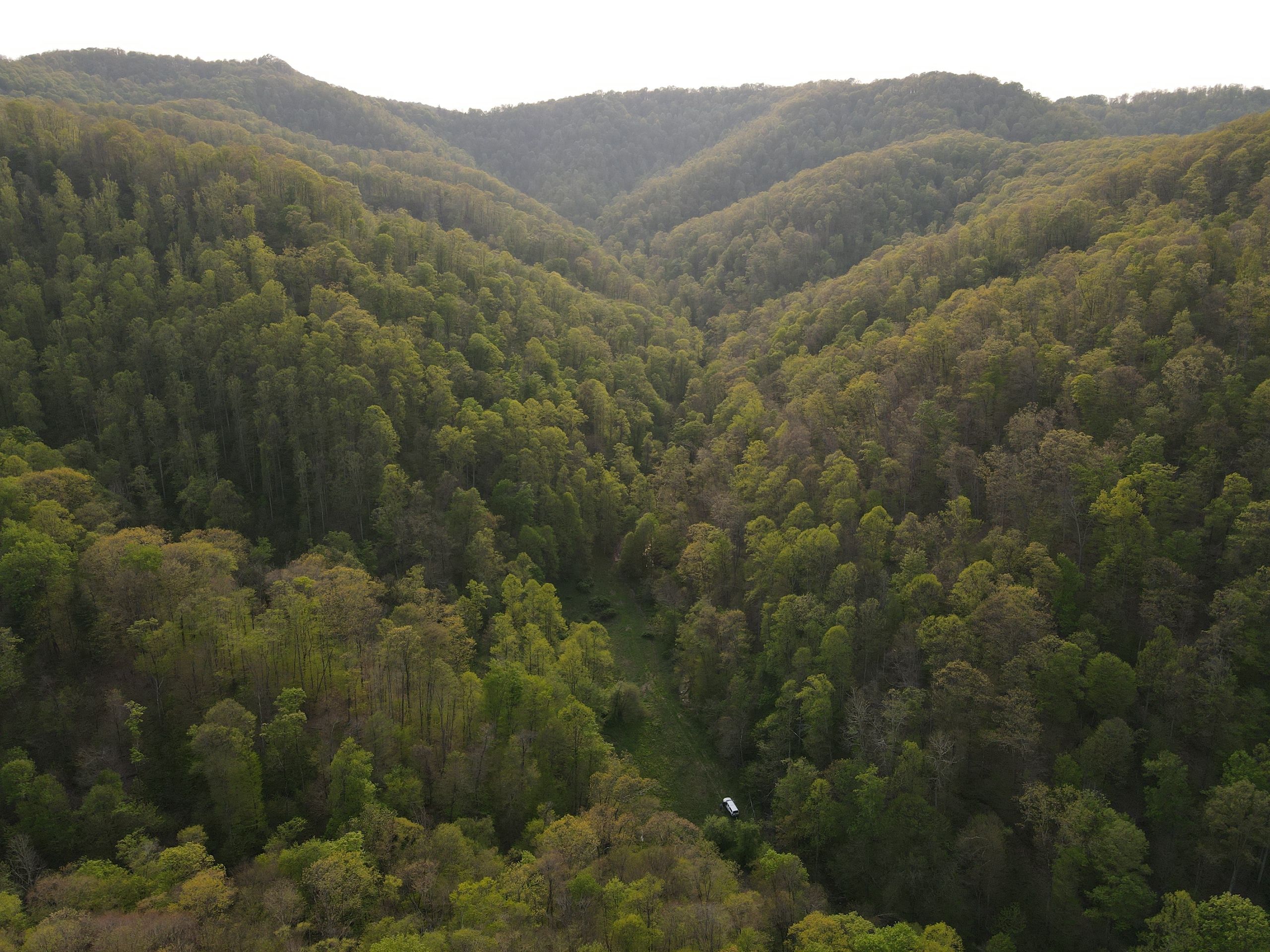 Bull Run Road, LotWP001, Parsons, WV 26287