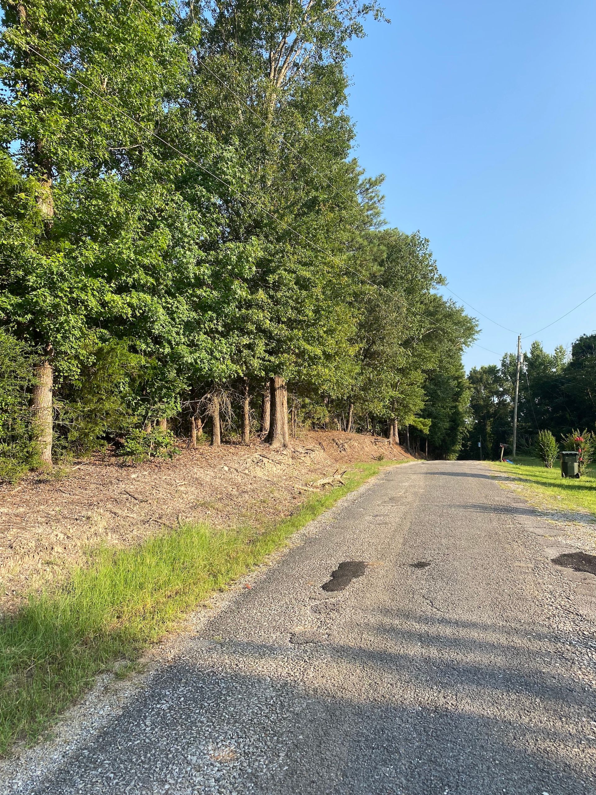 3 acres in Sumter County, Alabama