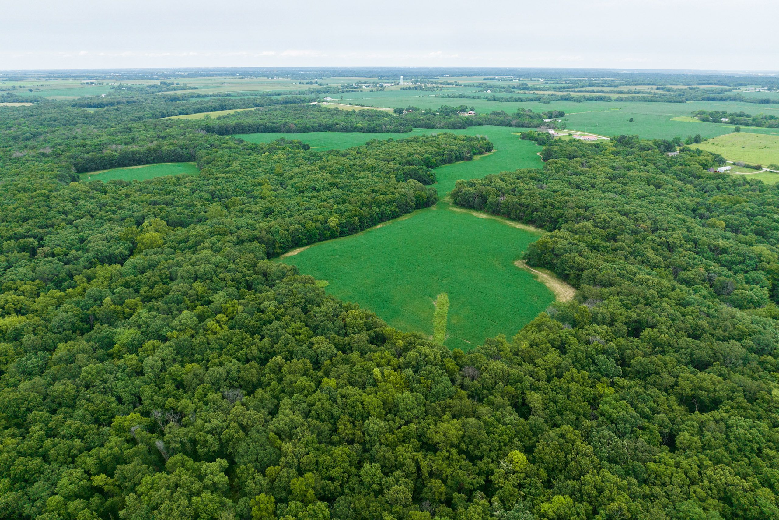 90 acres in Lee County, Iowa