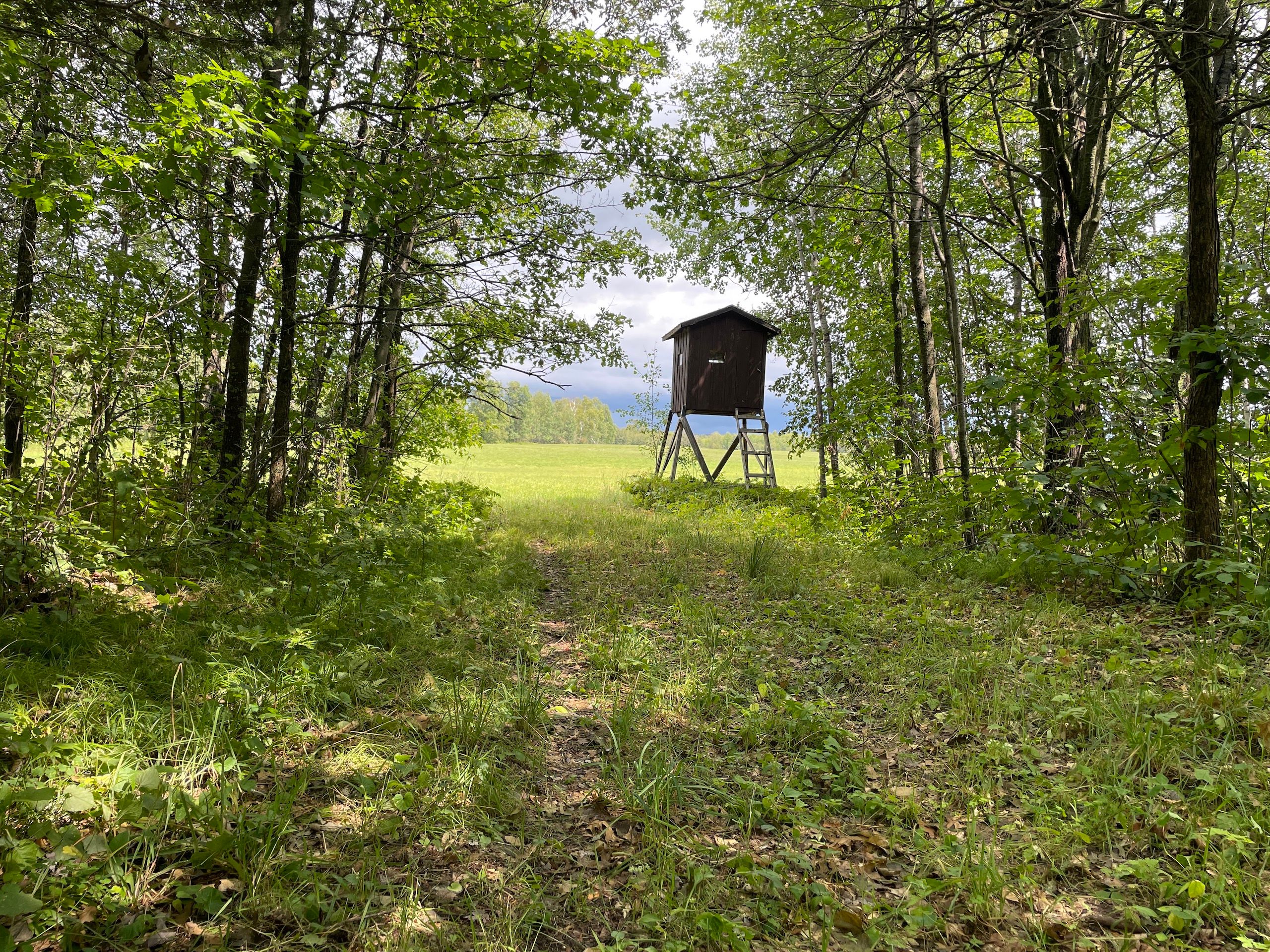 160 acres in Clearwater County, Minnesota