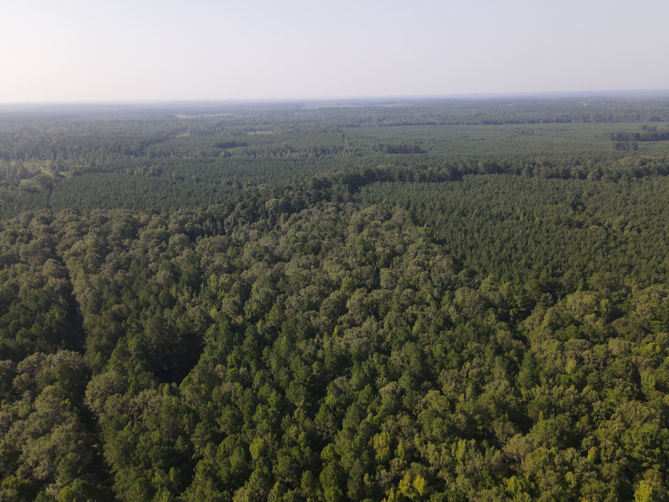 160 acres in Union County, Arkansas