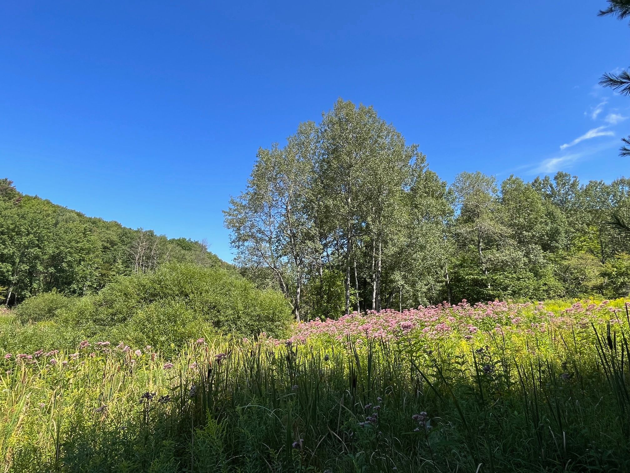 101.5 acres in Cattaraugus County, New York