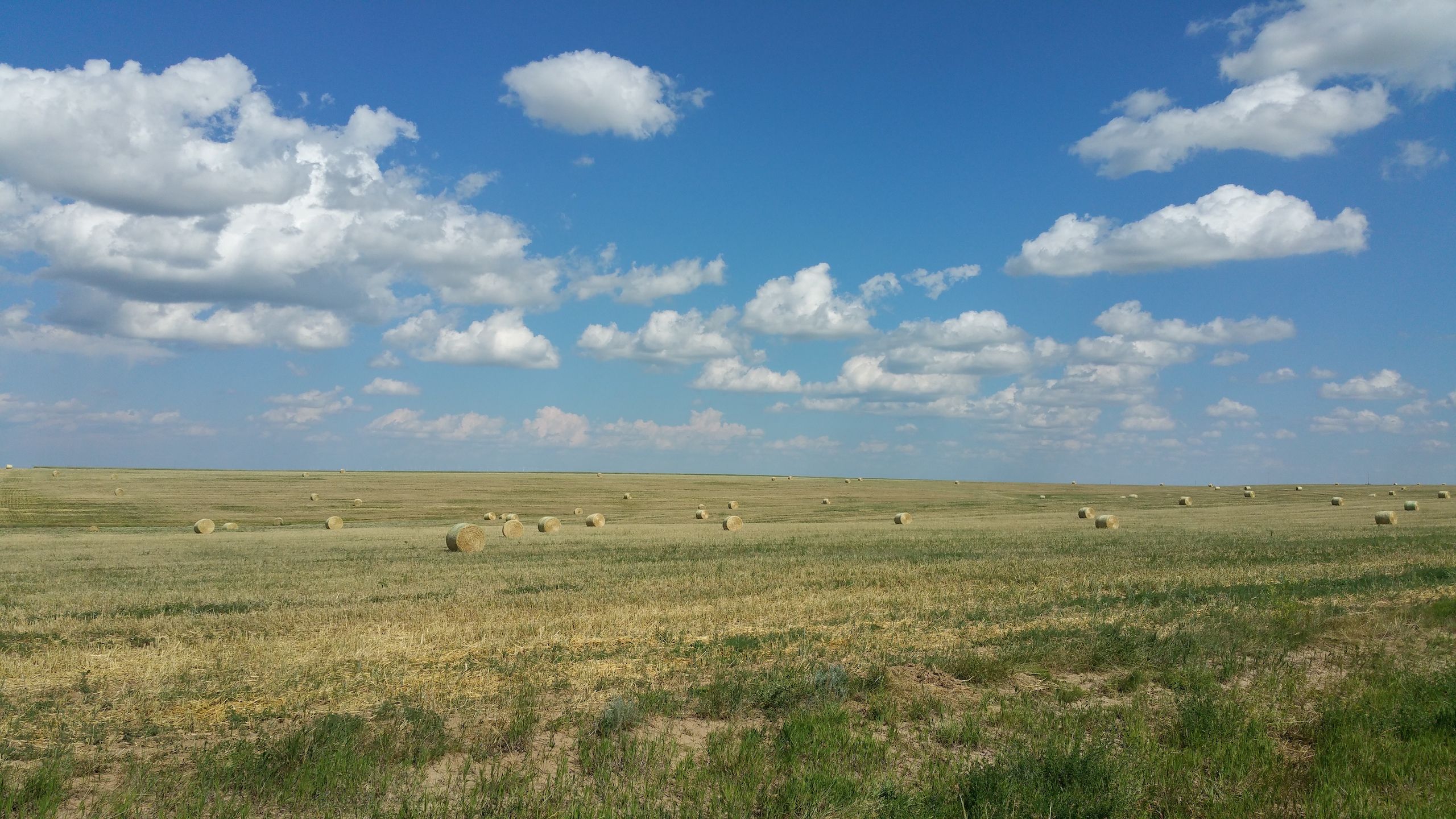 35.5 acres in Elbert County, Colorado