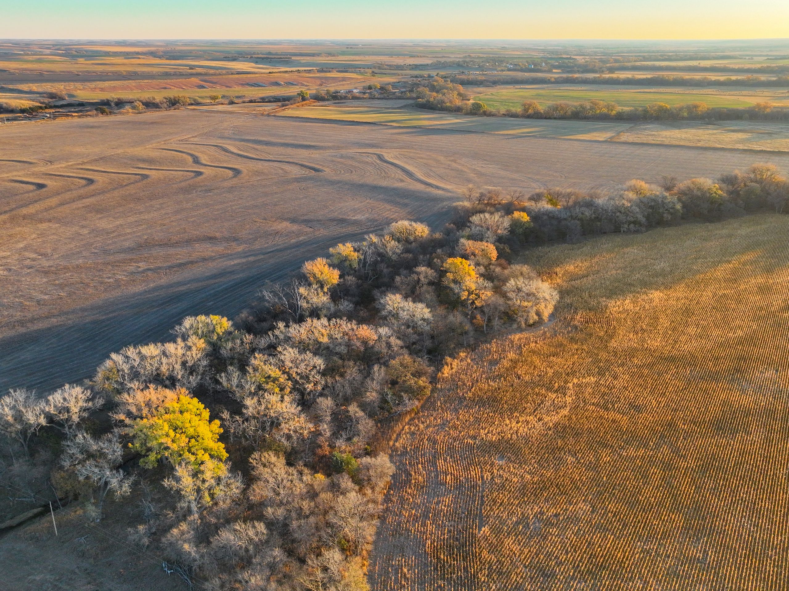 167 acres in Norton County, Kansas