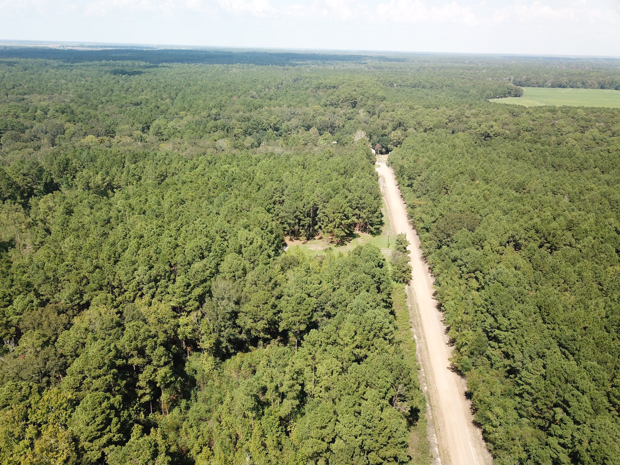 Crabapple Road Lot Wp001, Iota, LA 70543