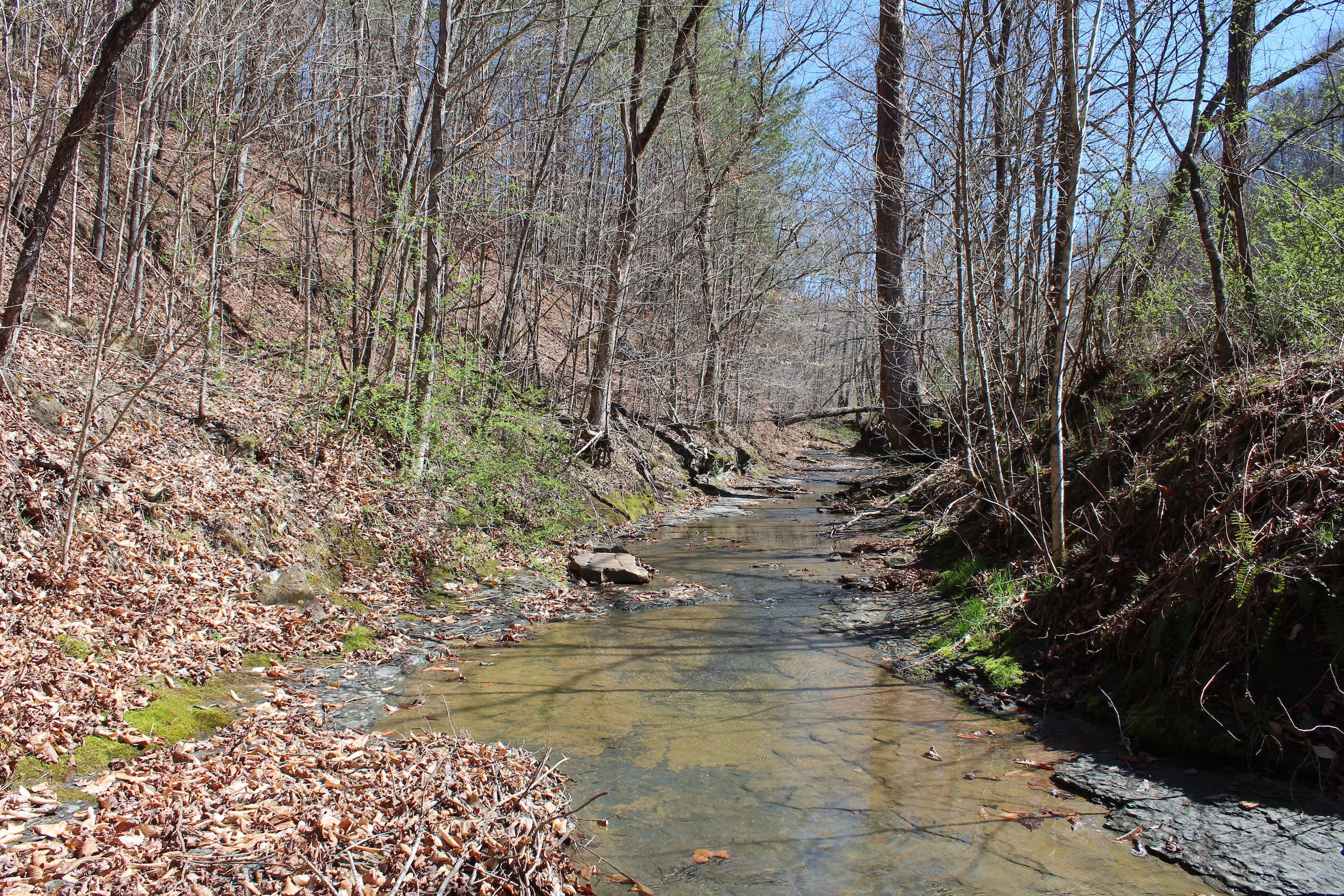 140 acres in Breathitt County, Kentucky