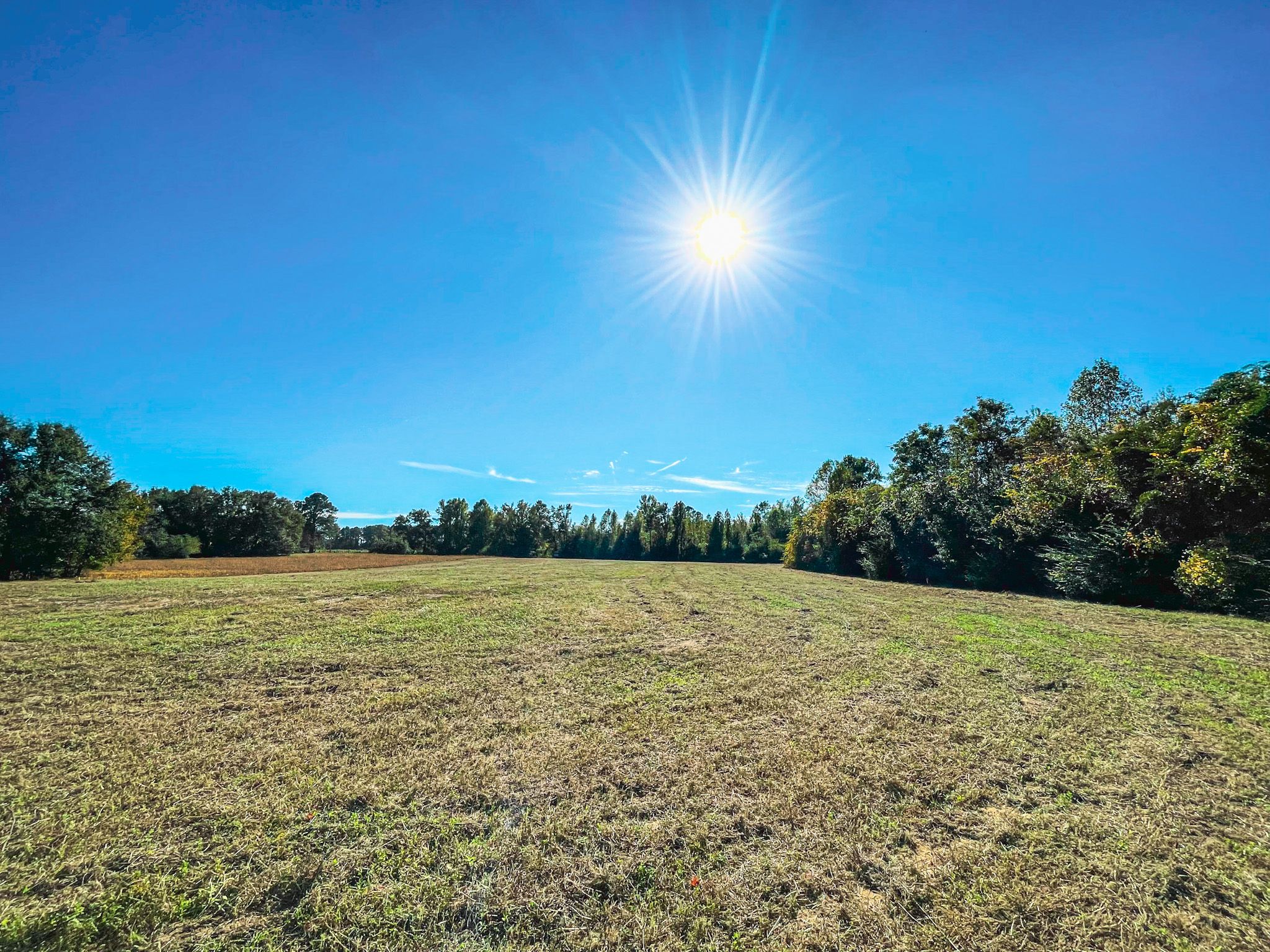 9.95 acres in Dillon County, South Carolina