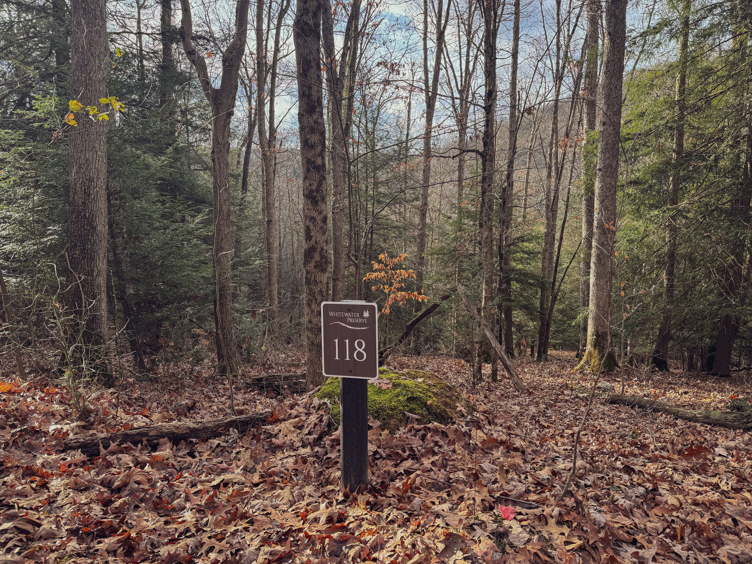 Whitewater Preserve, Lot WP004, Bruceton Mills, WV 26525