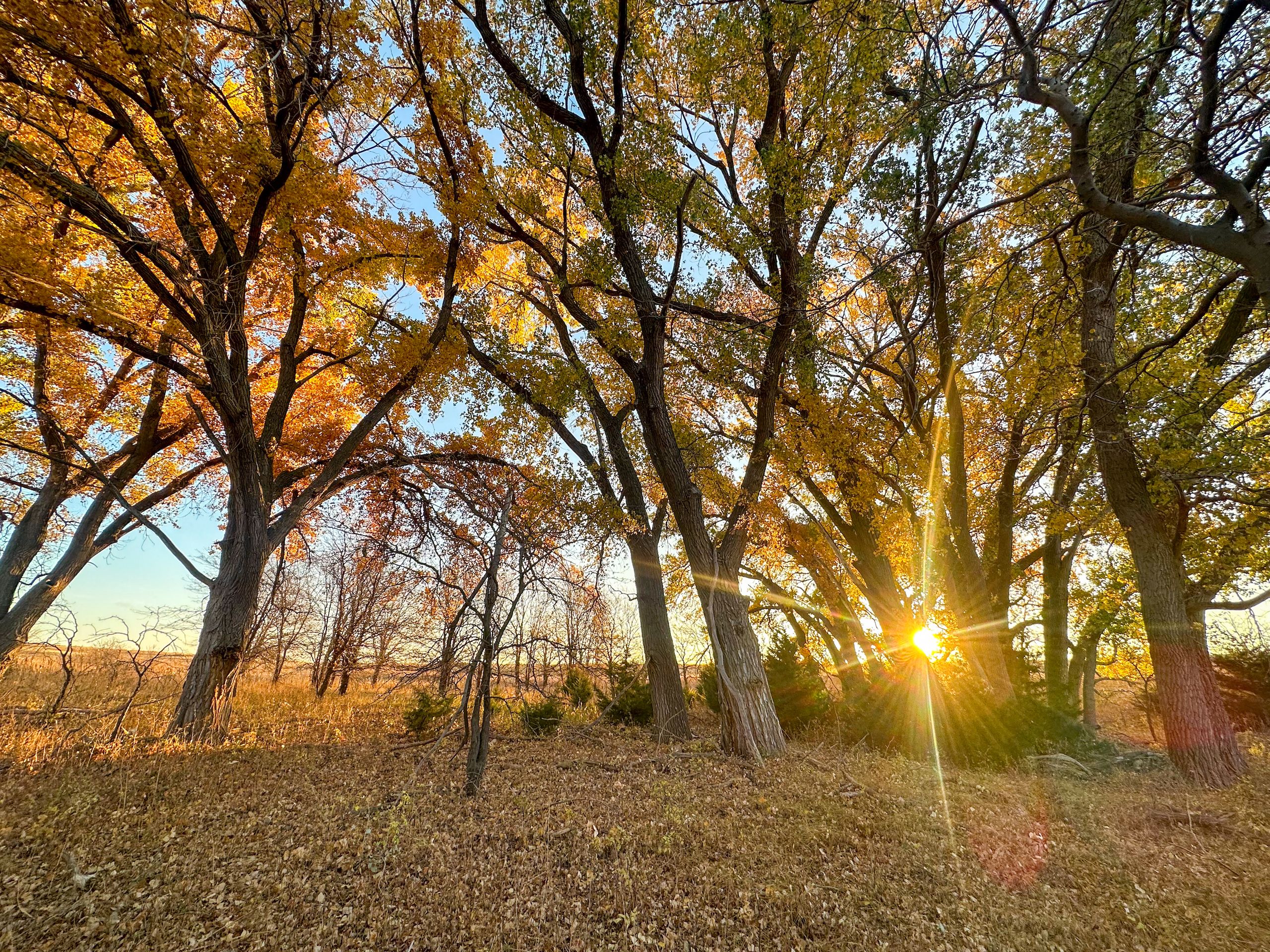 163 acres in Graham County, Kansas