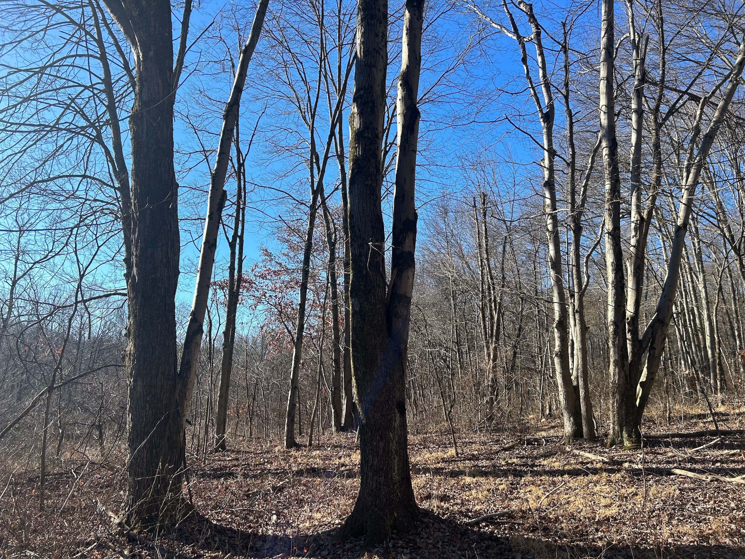 5 acres in Licking County, Ohio