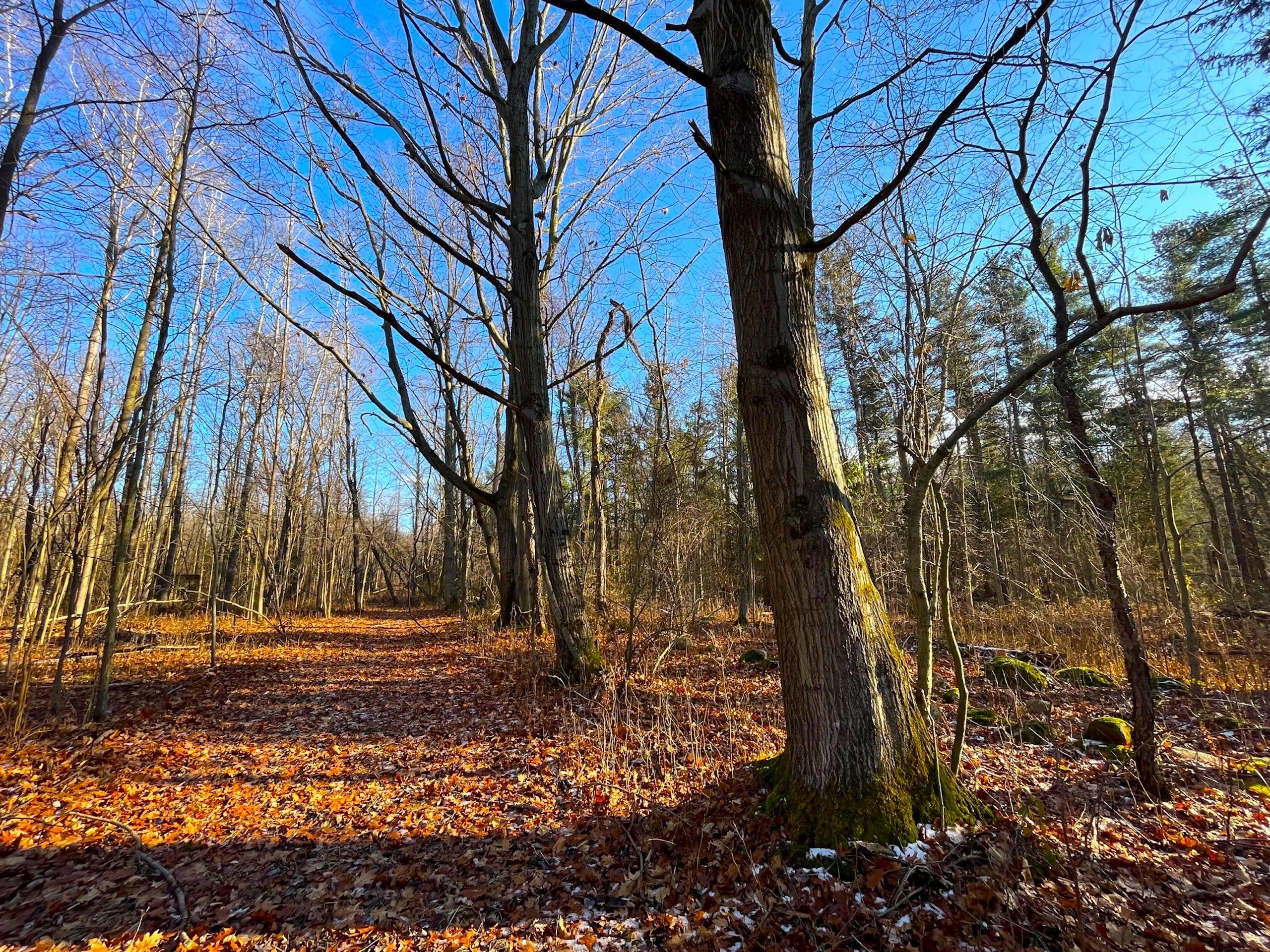 VL Quaker Road, LotWP001, Barker, NY 14012 MLS 11230994