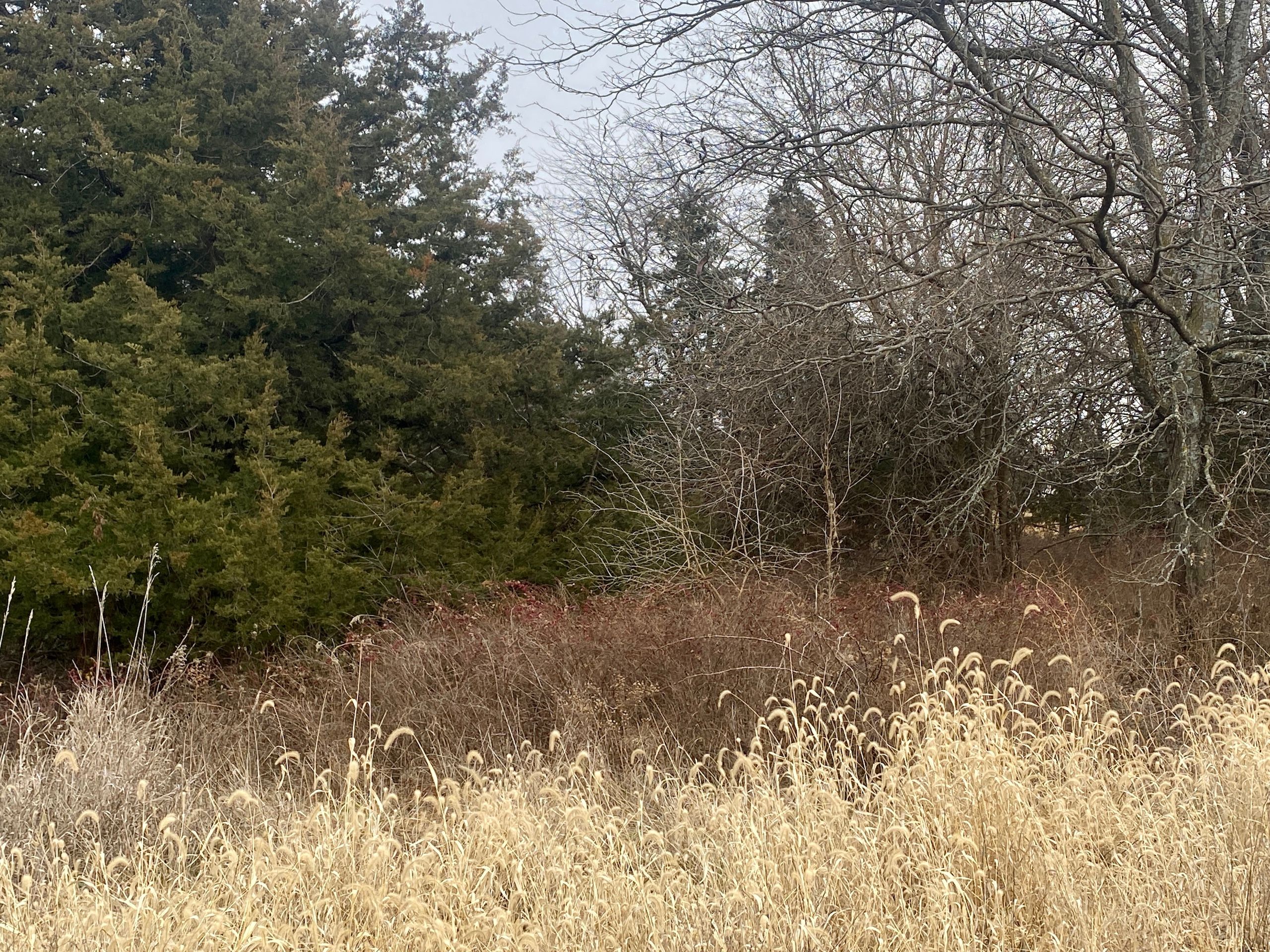 157 acres in Worth County, Missouri