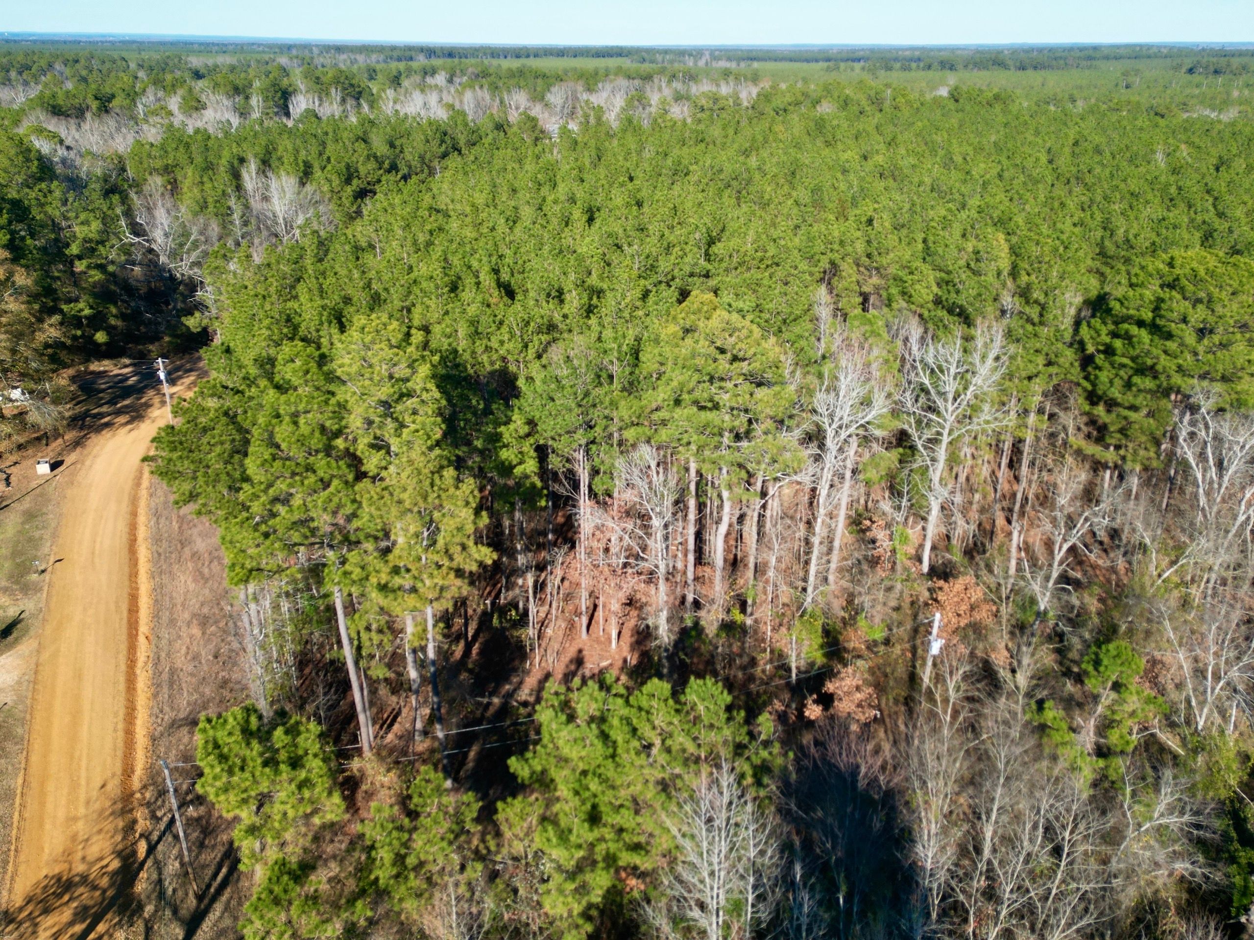 30 acres in Clark County, Arkansas