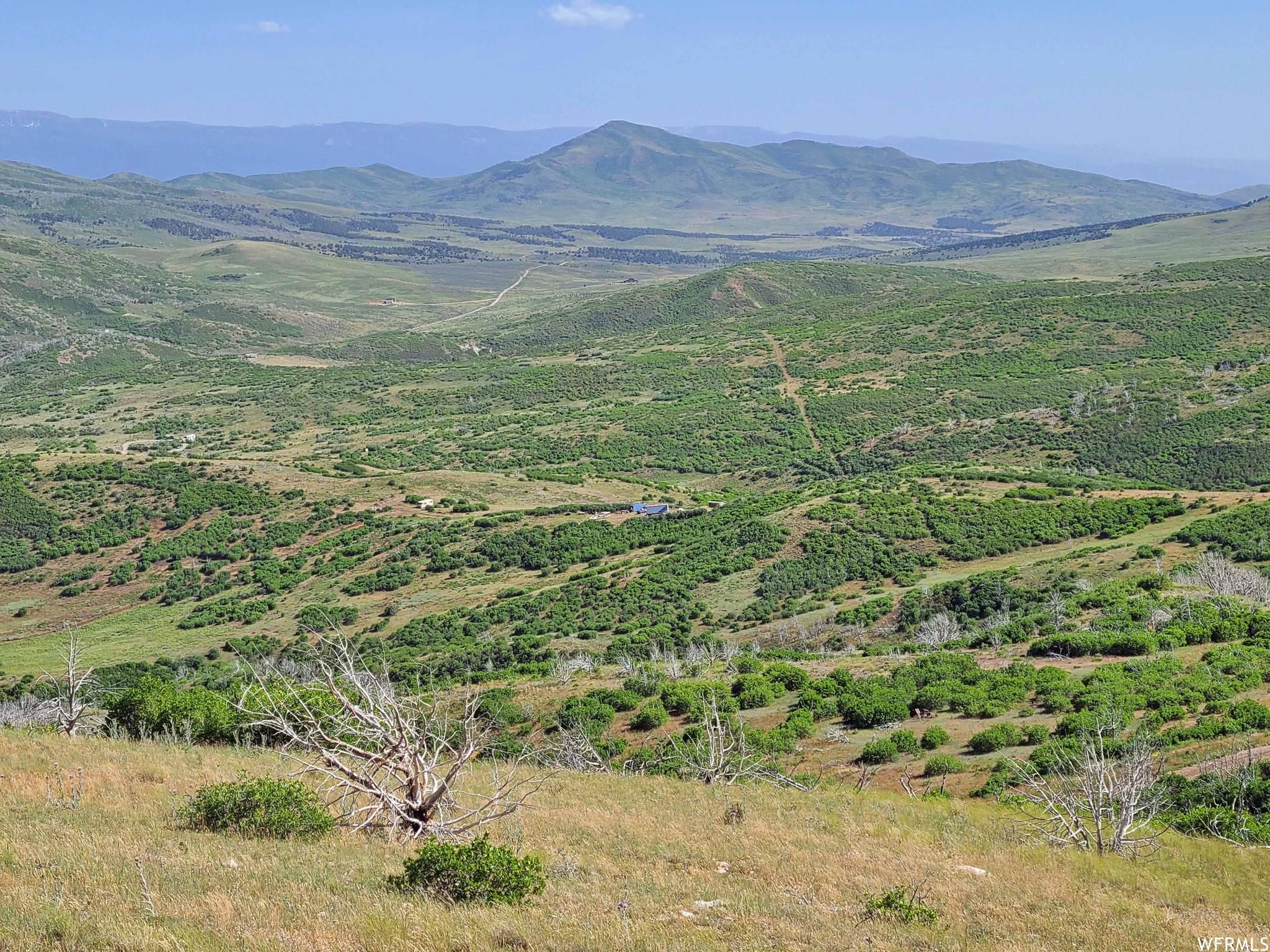 65 W Razorback Dr, Fairview, UT 84629