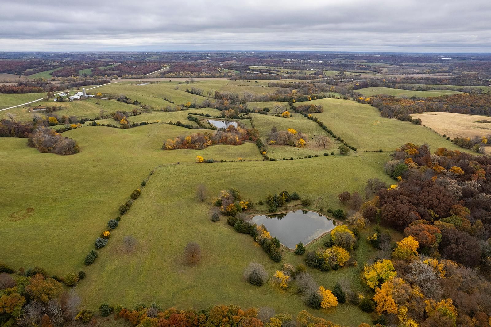 117 acres in Decatur County, Iowa