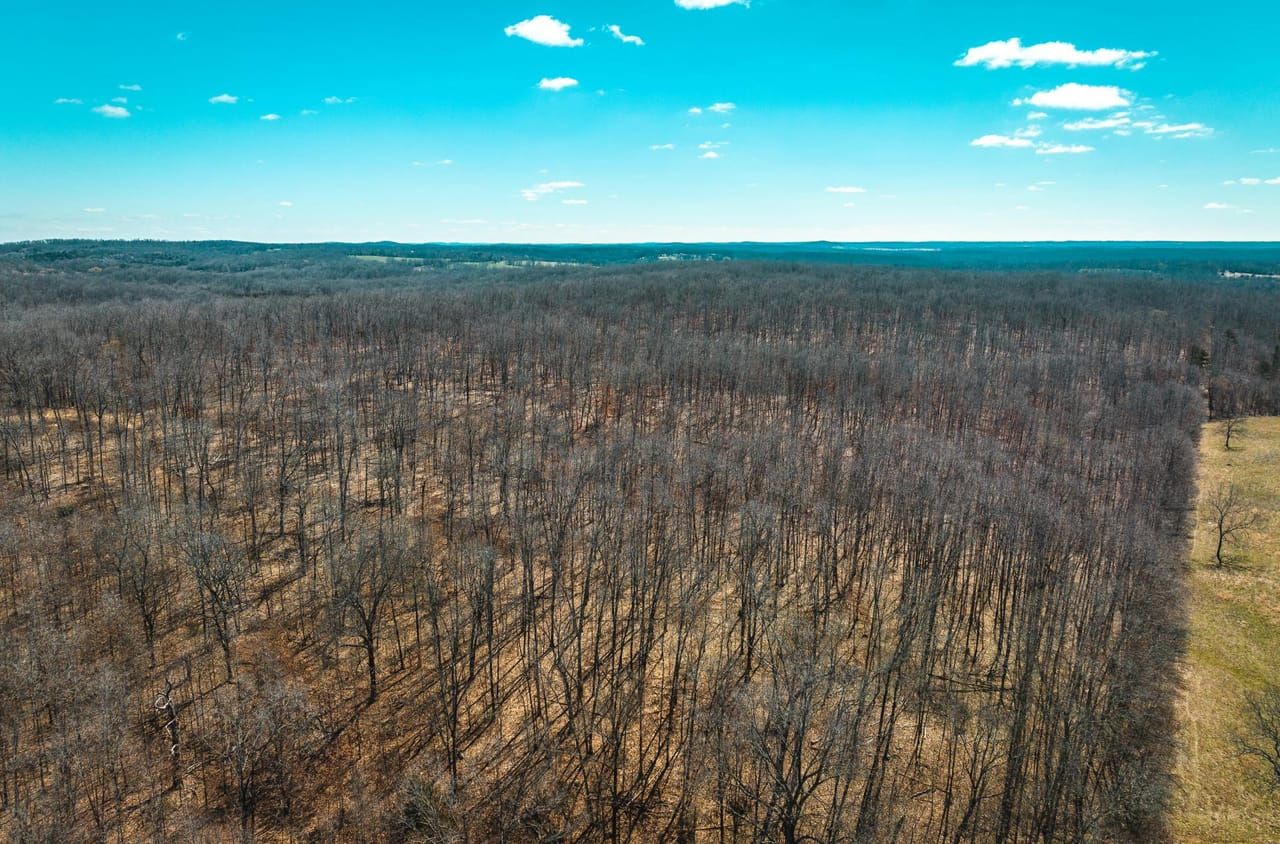 80 acres in Oregon County, Missouri