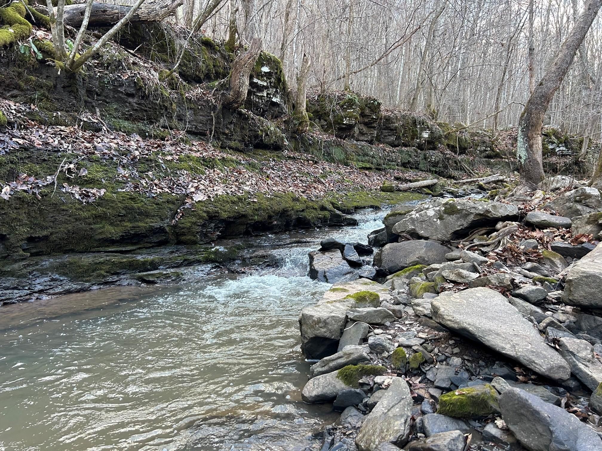 40 acres in Summers County, West Virginia