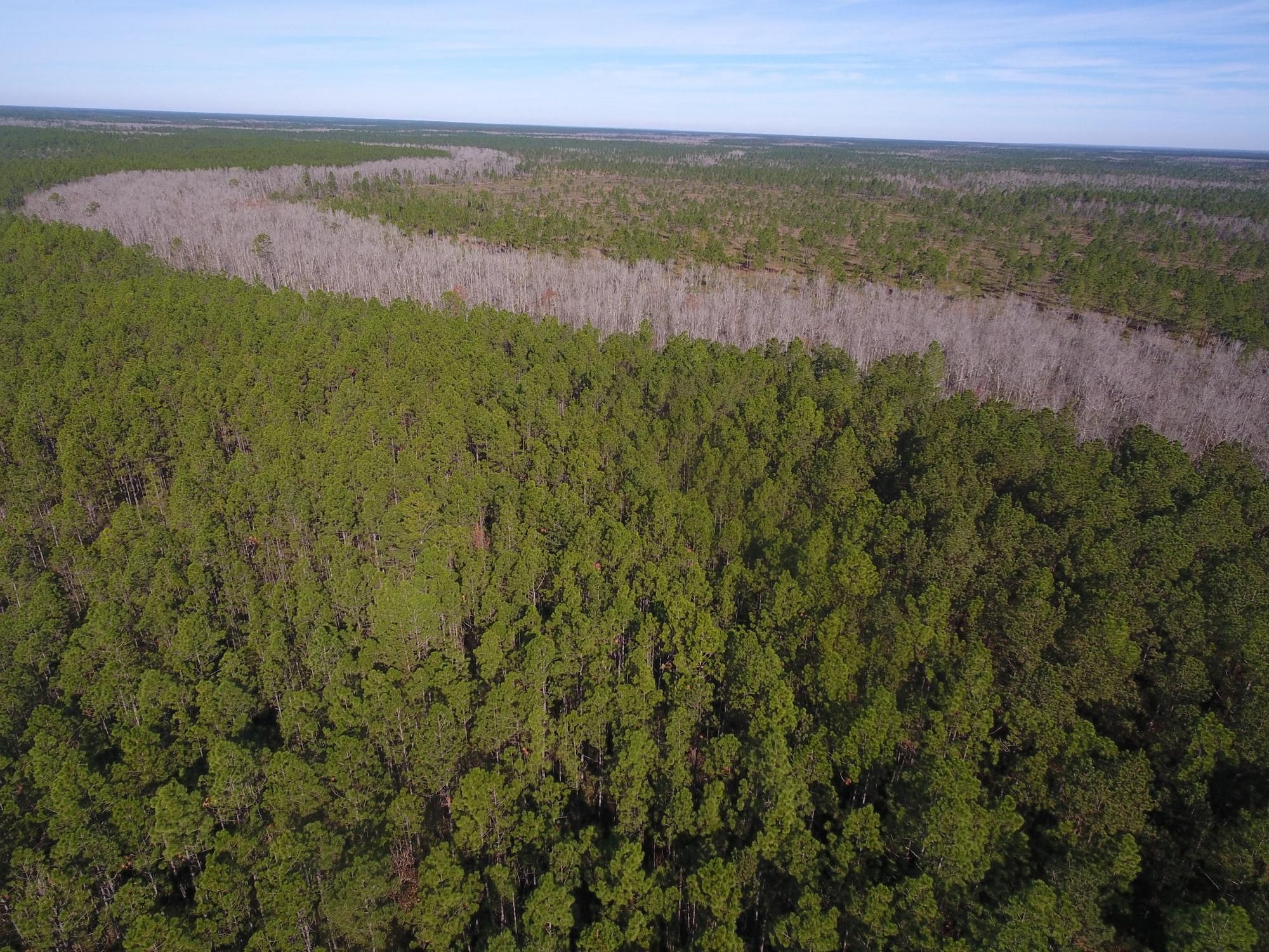 3,755 acres in Saint Tammany Parish, Louisiana