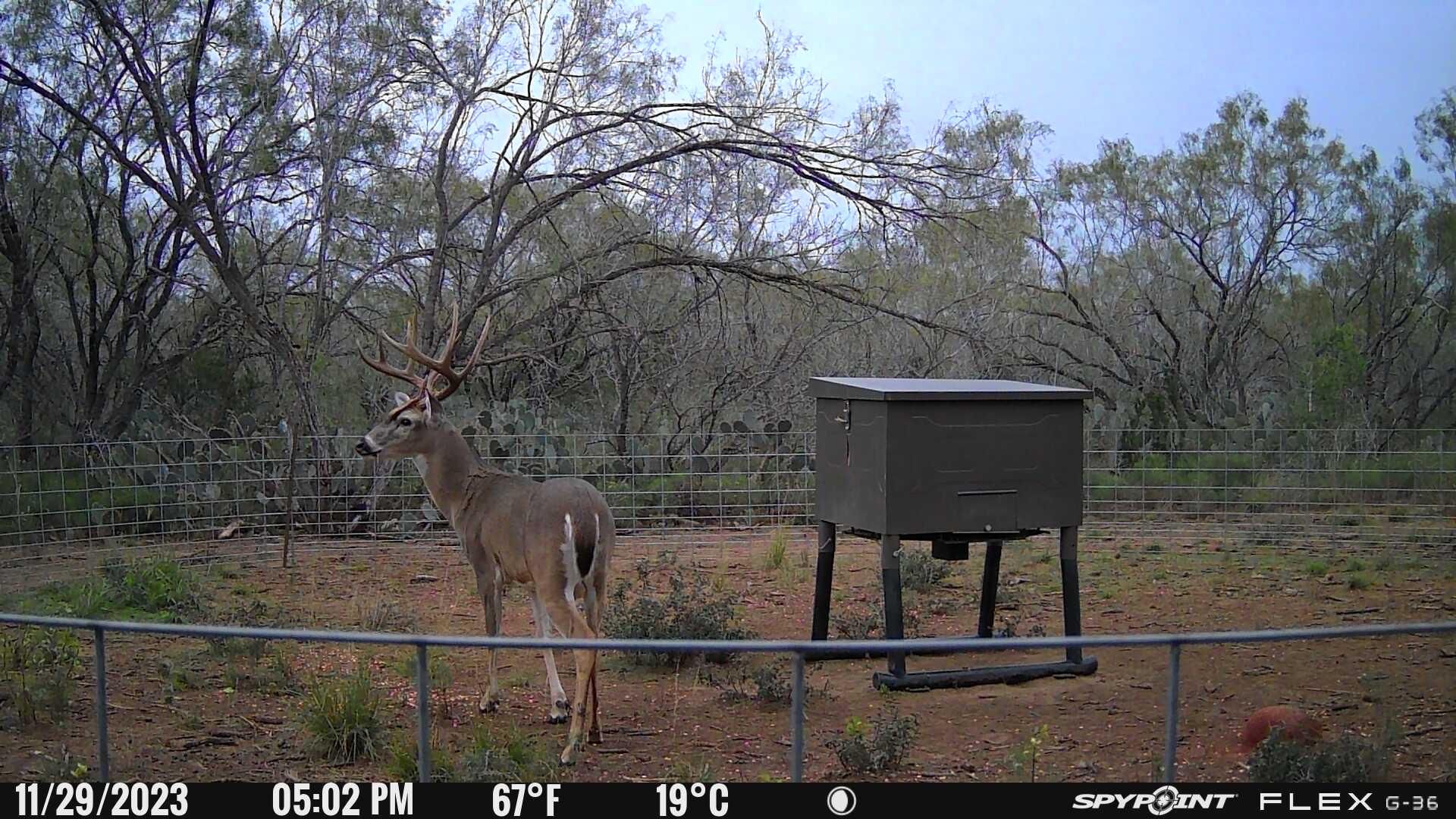 493 acres in Tilden, TX, 78072