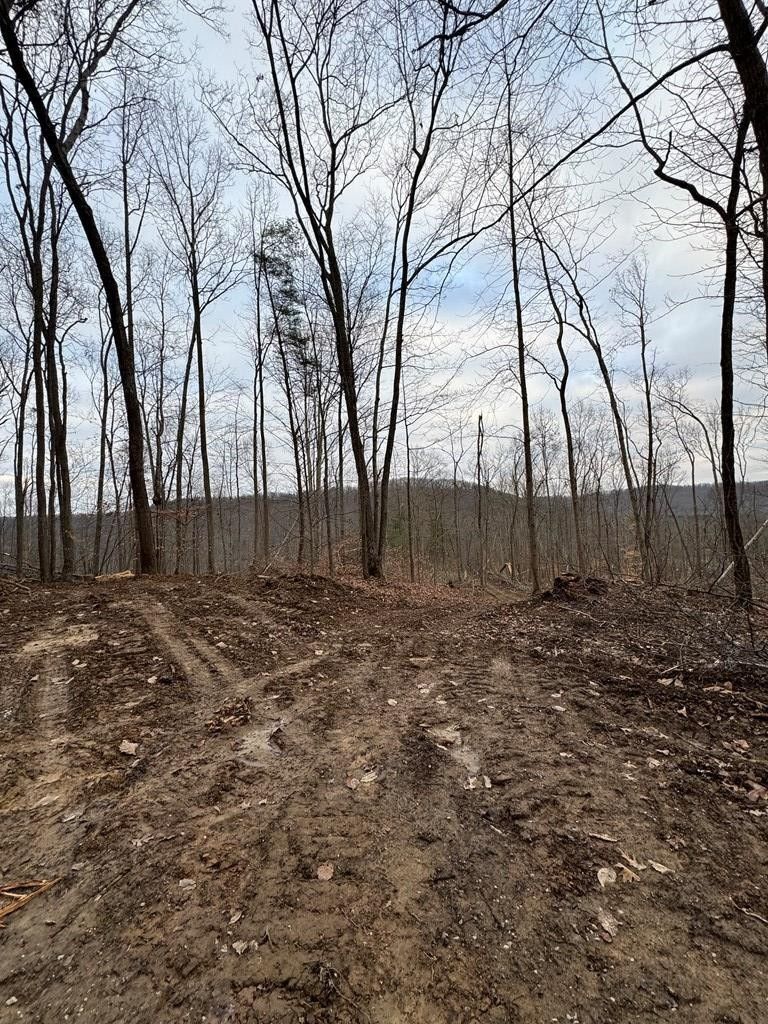 2 acres in Fleming County, Kentucky