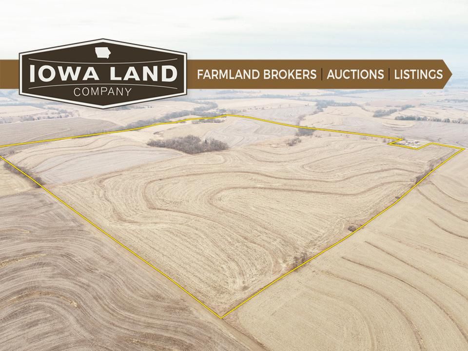 156.35 acres in Page County, Iowa