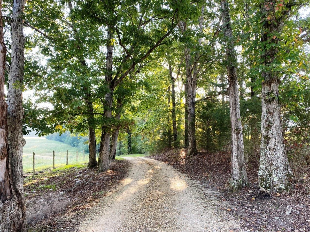 18.5 acres in Colbert County, Alabama