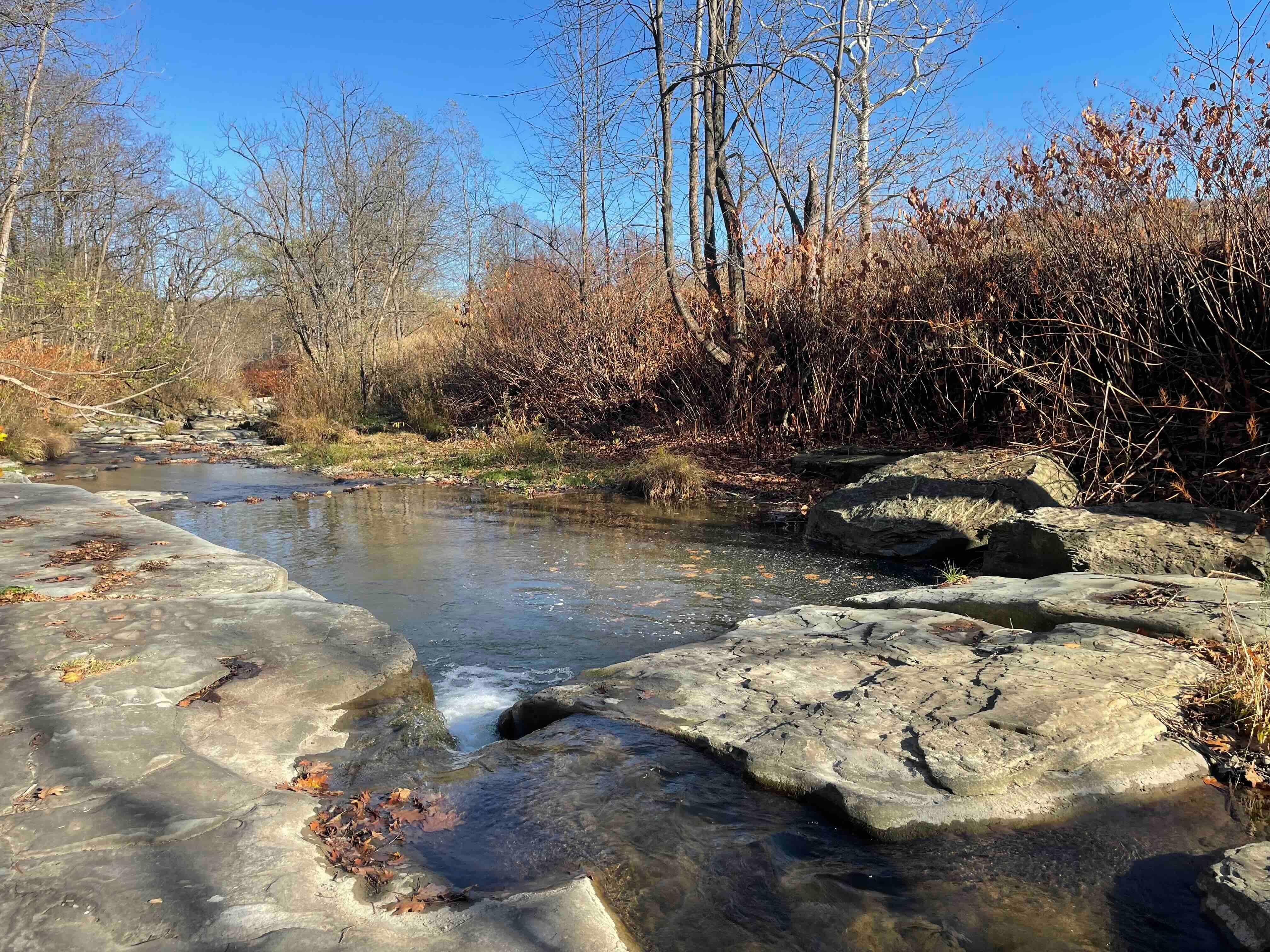25 acres in Livingston County, New York