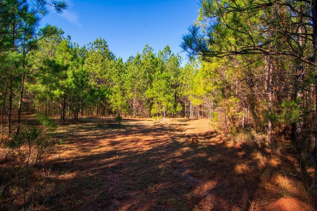 23.3 acres in Harris County,