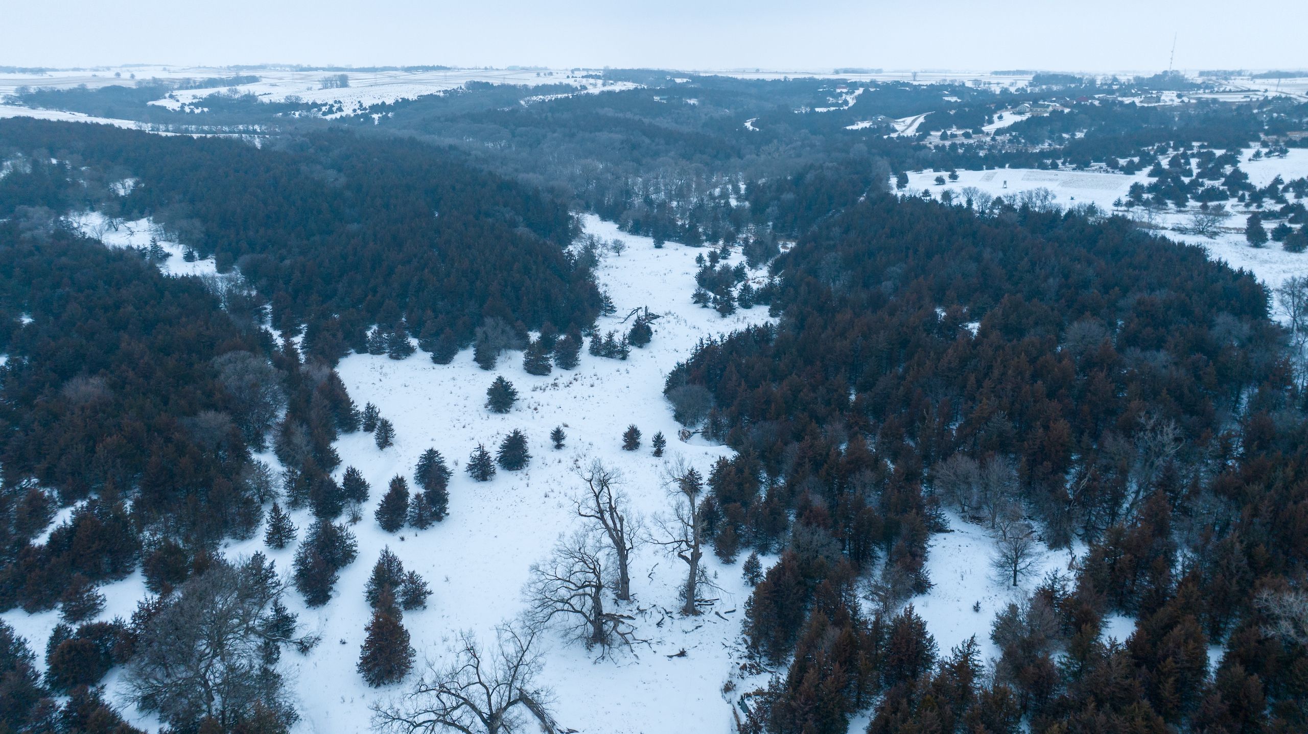 40 acres in Yankton County, South Dakota