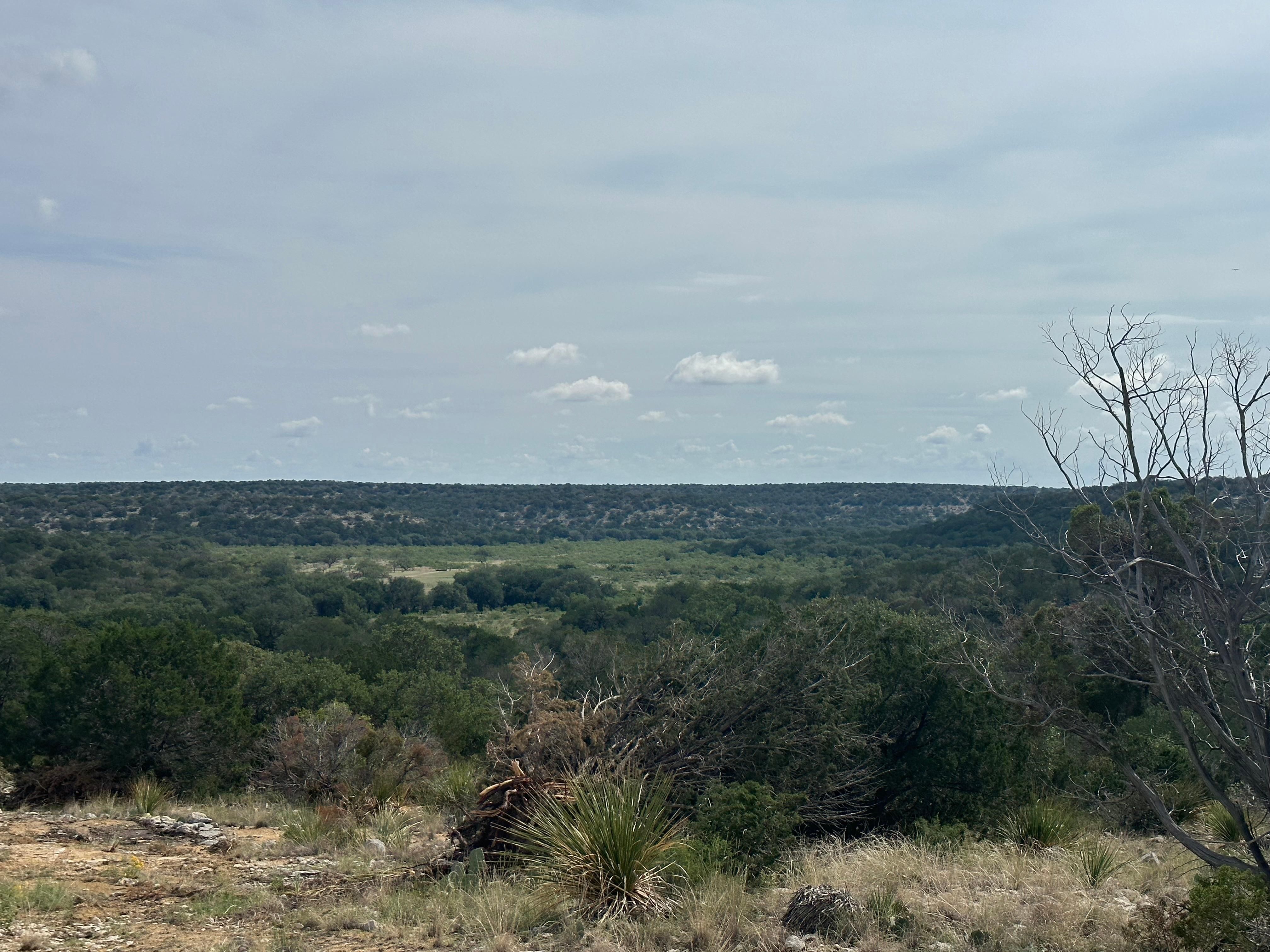 100 acres in Crockett County, Texas