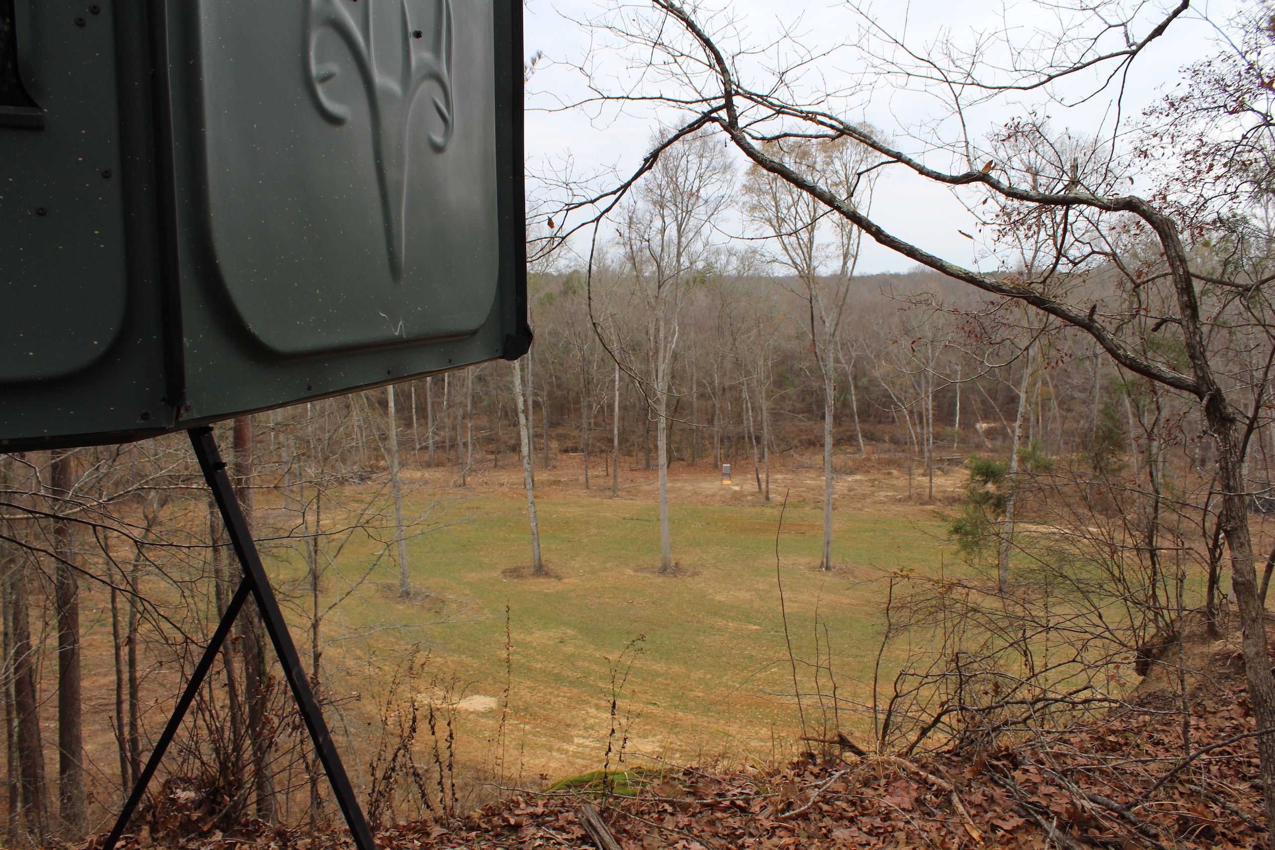 County Road 149, LotWP001, Coila, MS 38930