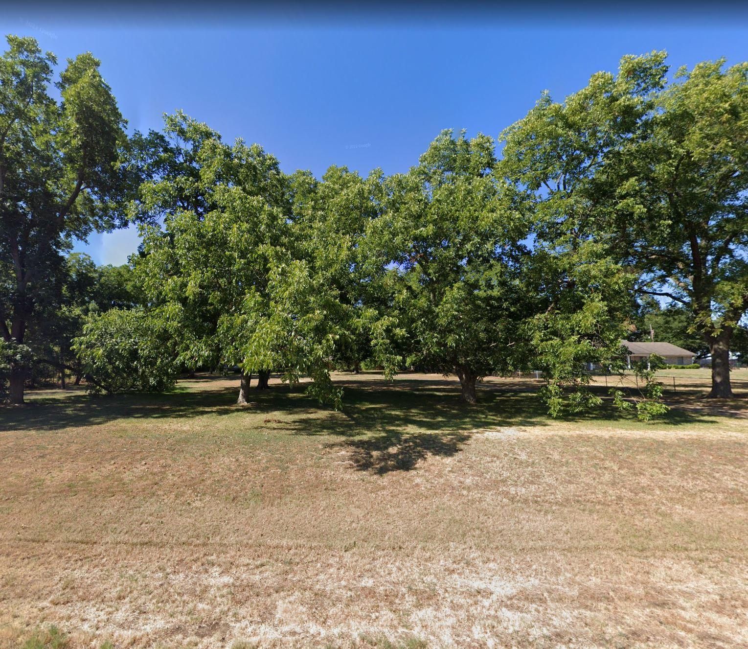 Private Road 52040, Pittsburg, TX 75686