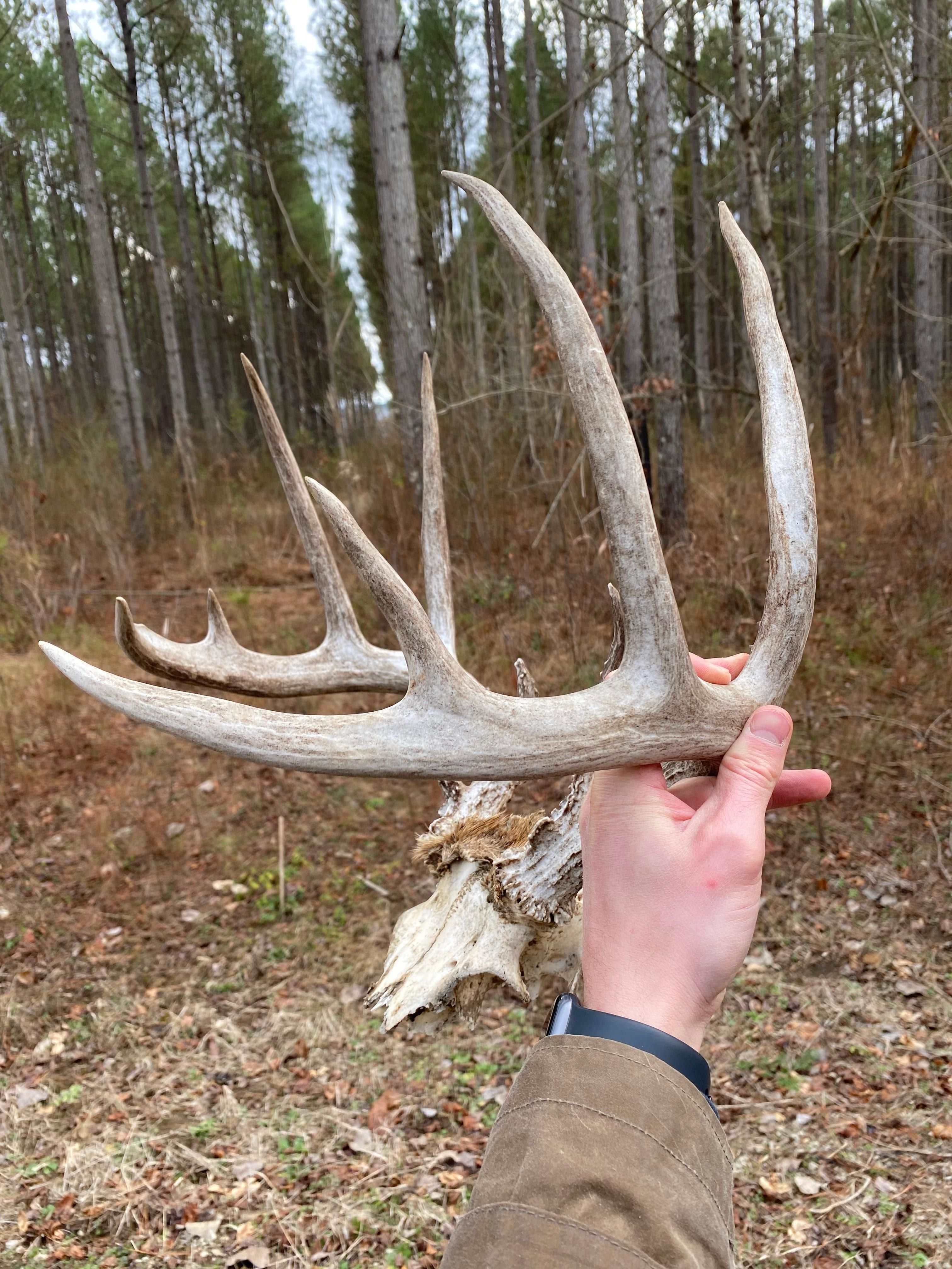 10 acres in Lawrence County, Alabama
