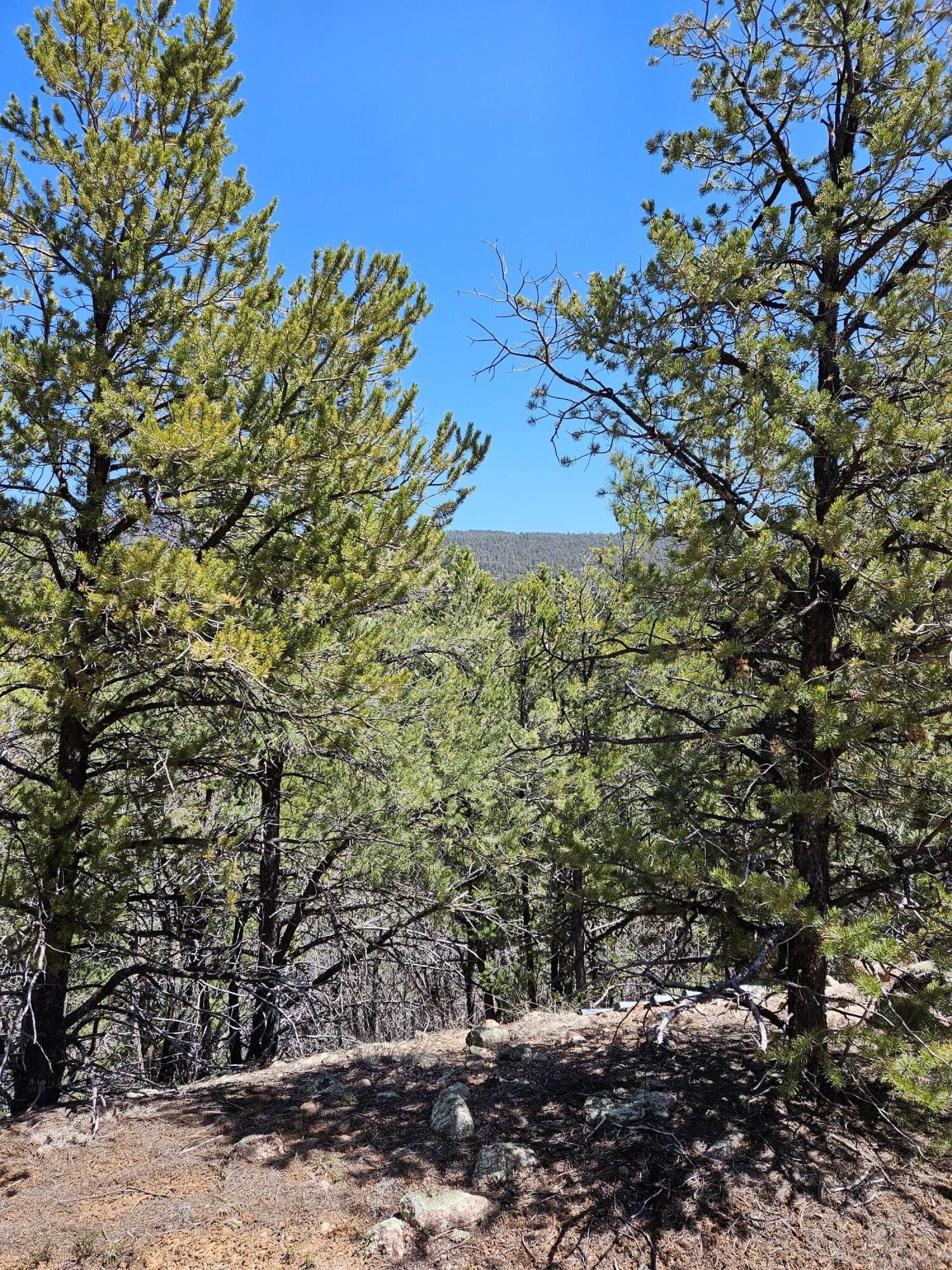 49.94 acres in Sandoval County, New Mexico