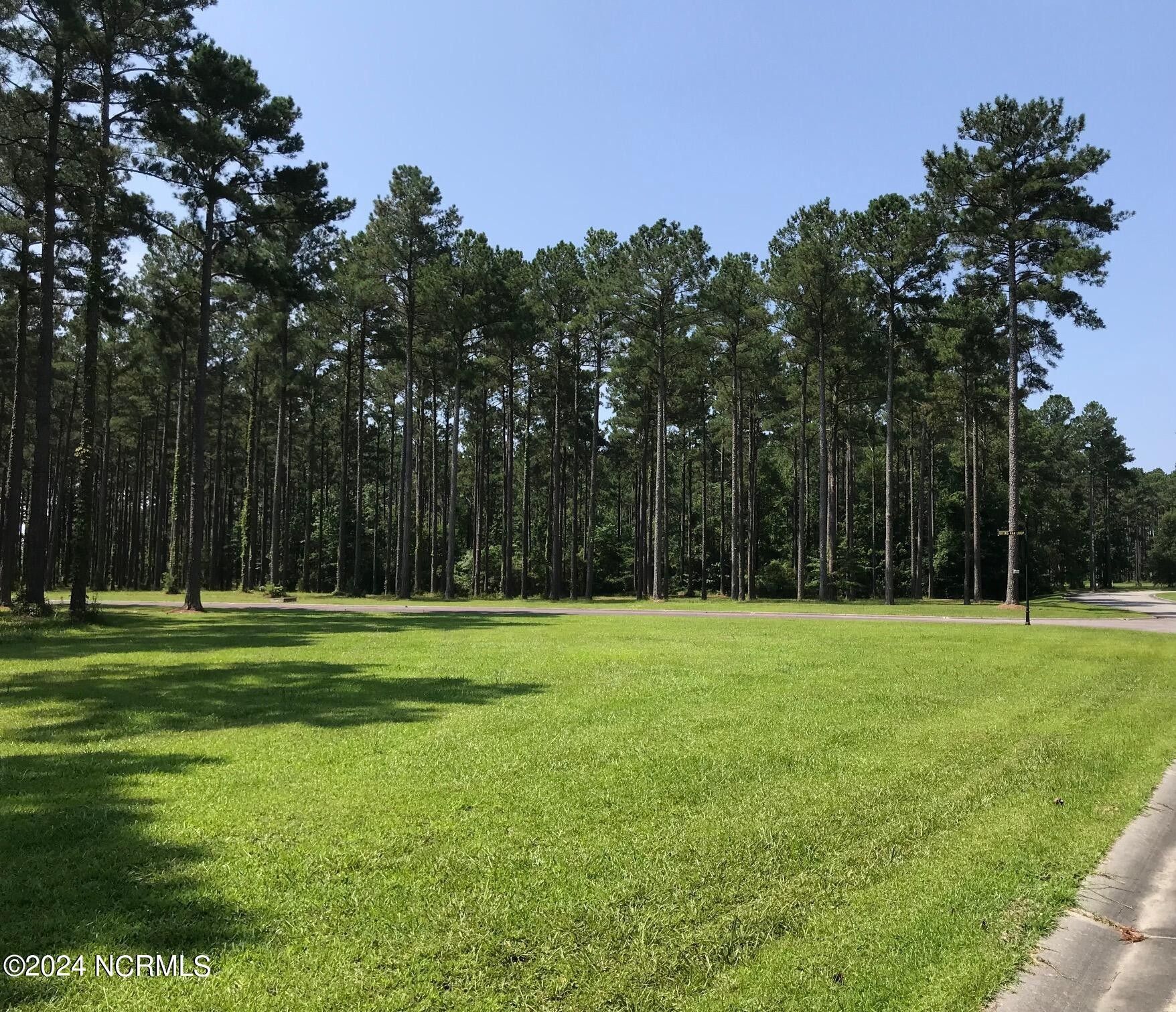 77 Ocracoke Drive, Oriental, NC 28571 MLS 100422157