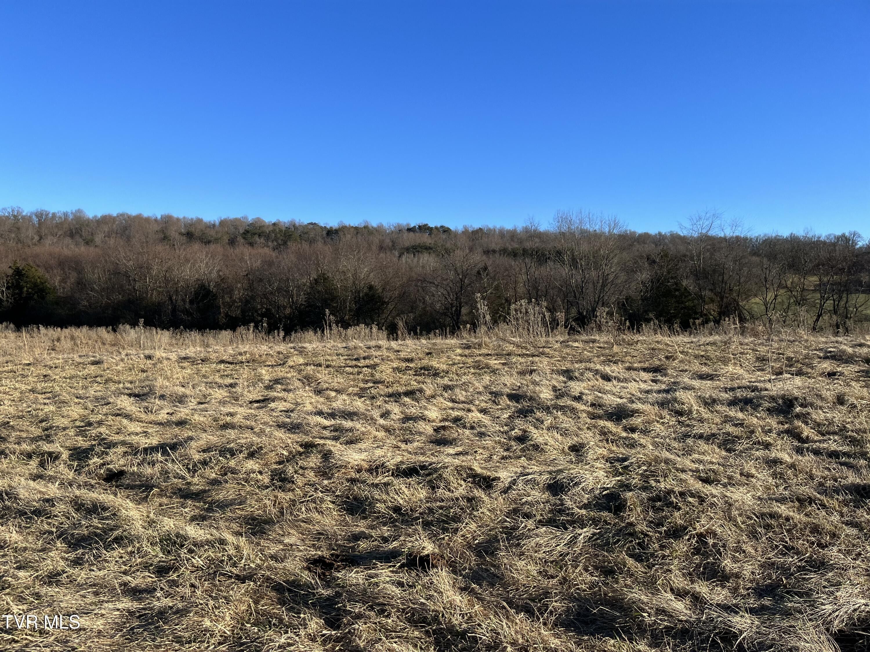 100 acres in Greene County, Tennessee