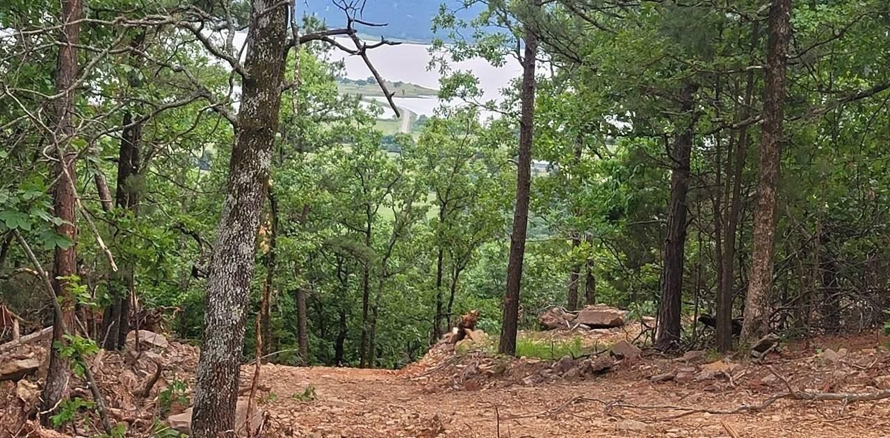 9.98 acres in Yanush, OK, 74574