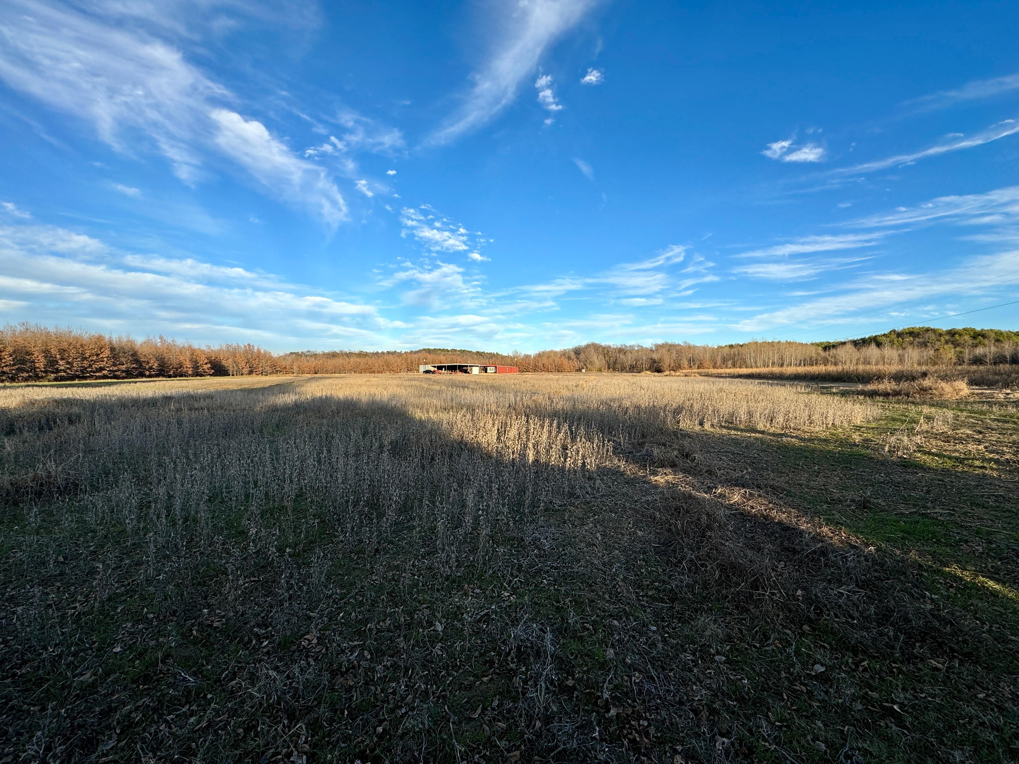 383 acres in Carroll County, Mississippi