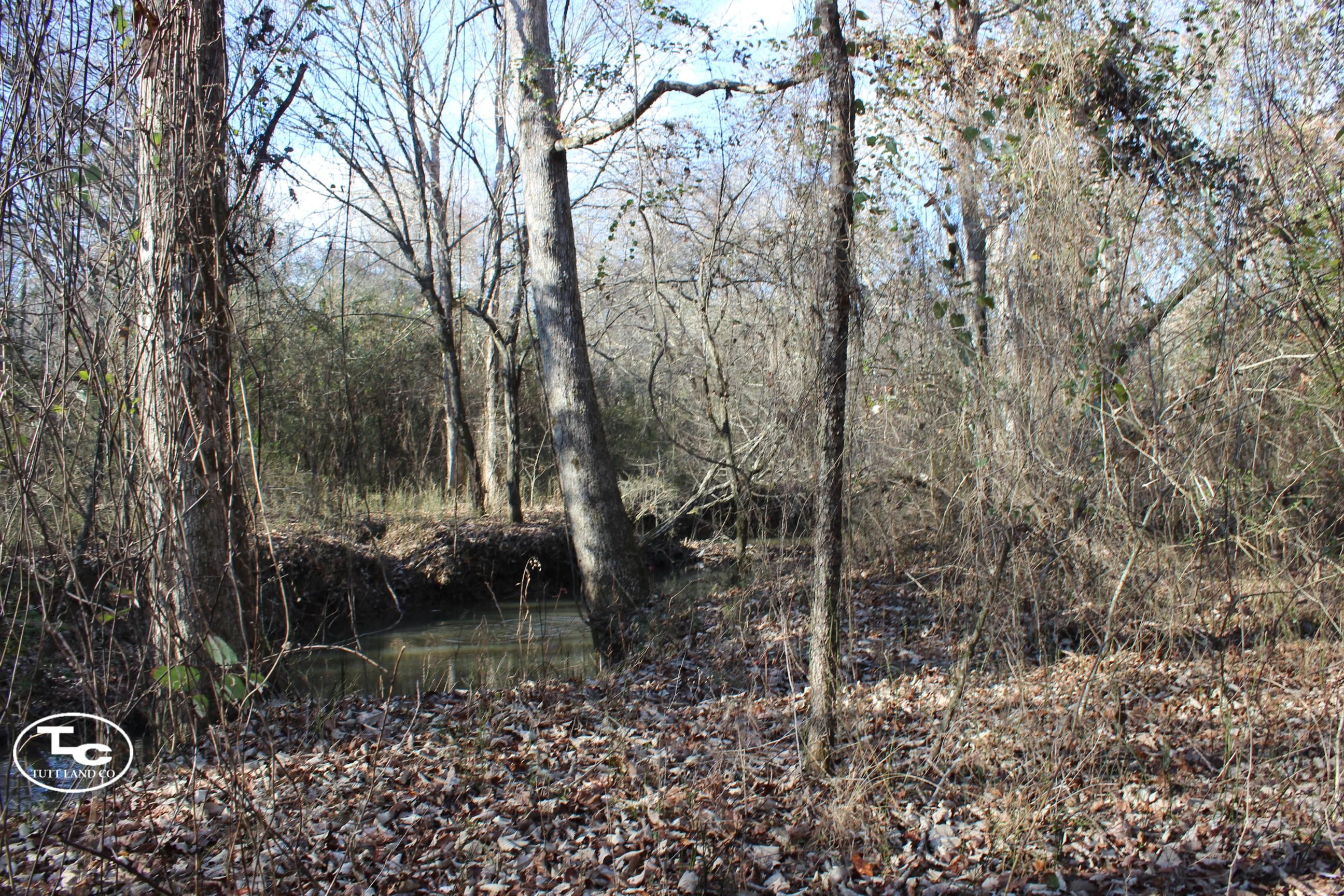 42 acres in Lamar County, Alabama