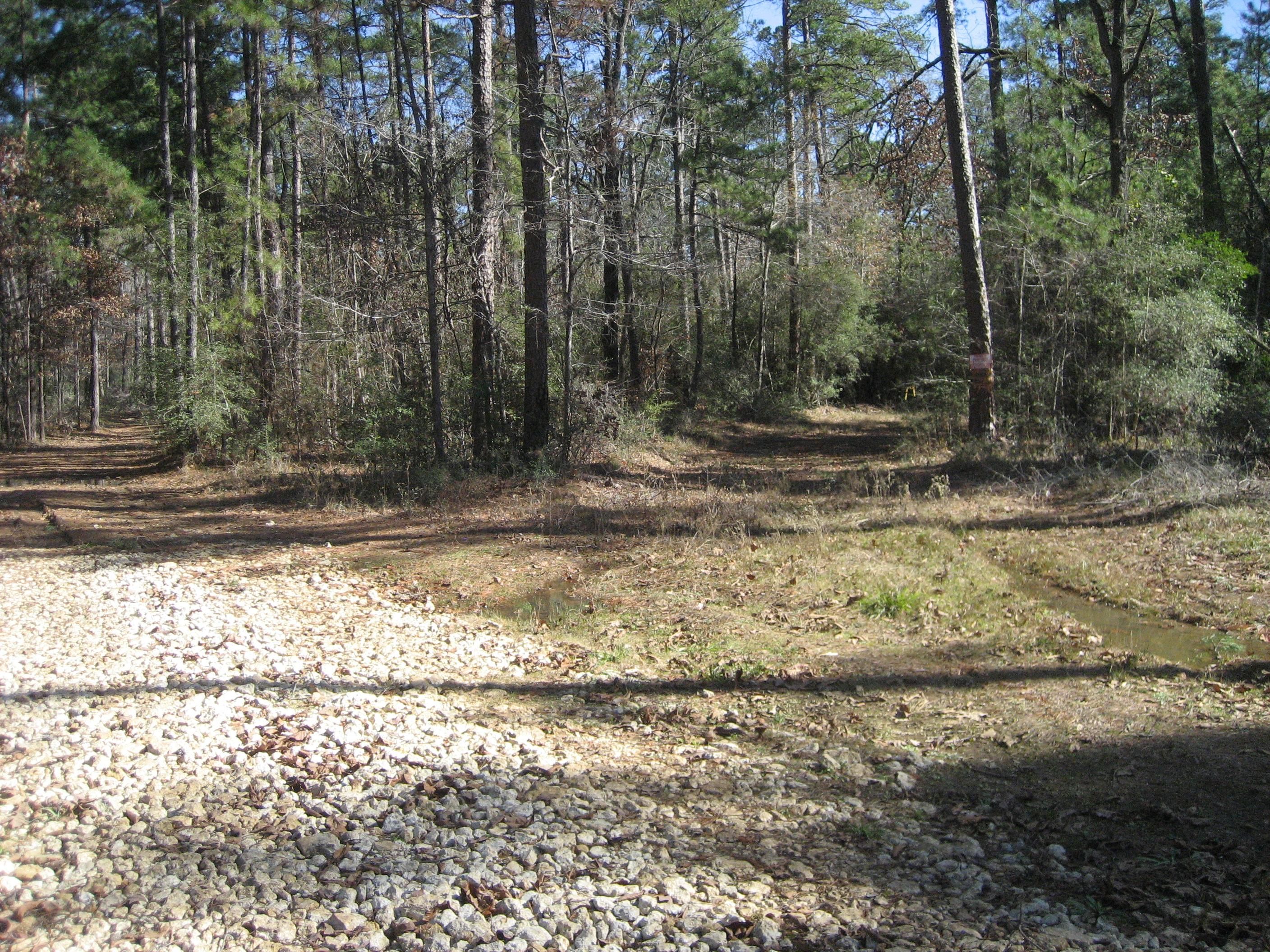 80 acres in Houston County, Texas