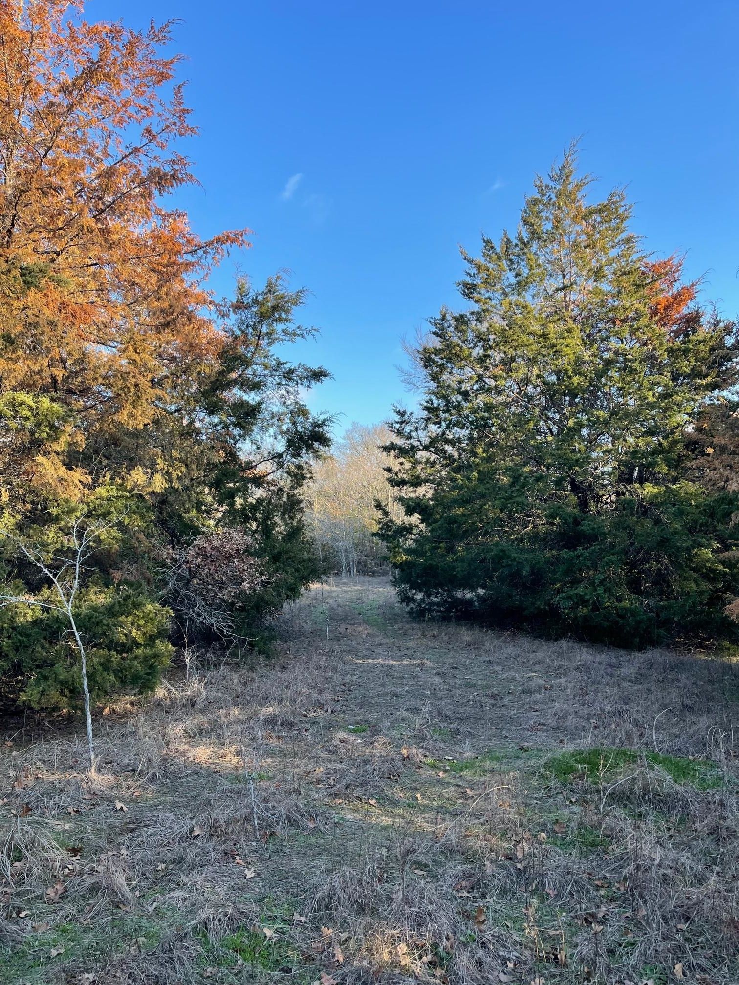 5.96 acres in Brazos County, Texas