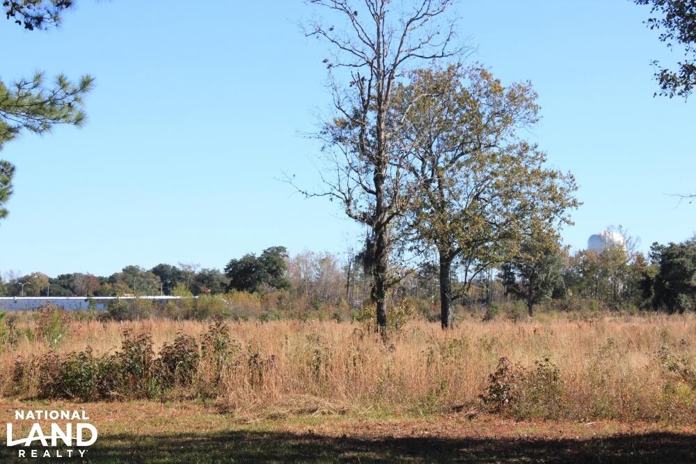 Nelson Ferry Road, Moncks Corner, SC 29461