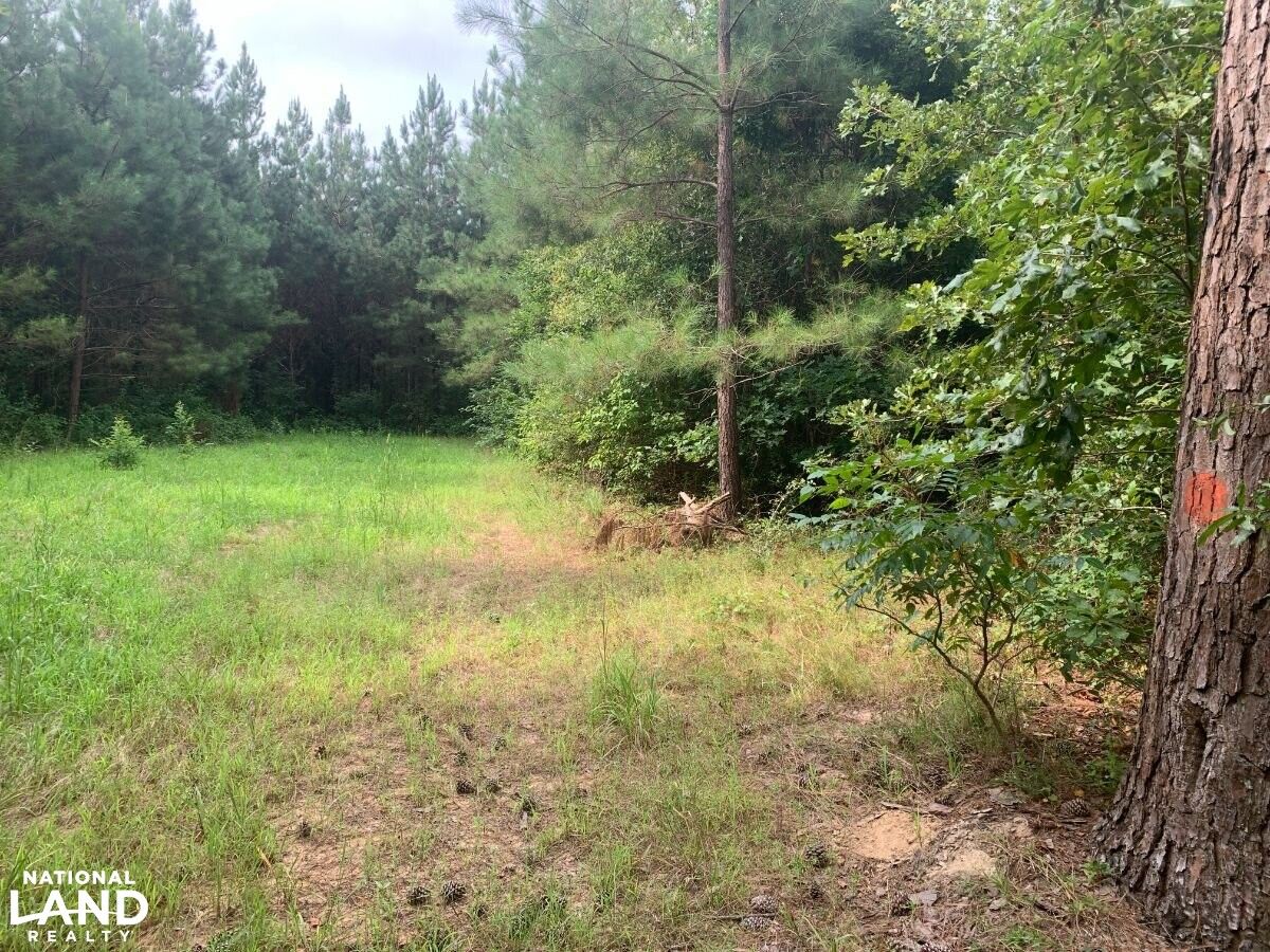 40 acres in Leake County, Mississippi