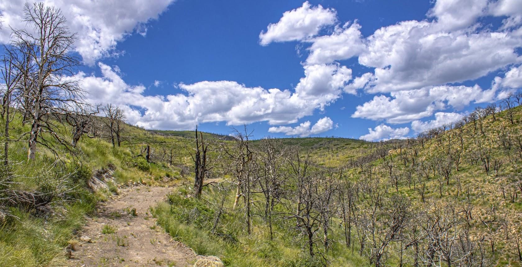 8.69 acres in Duchesne County, Utah