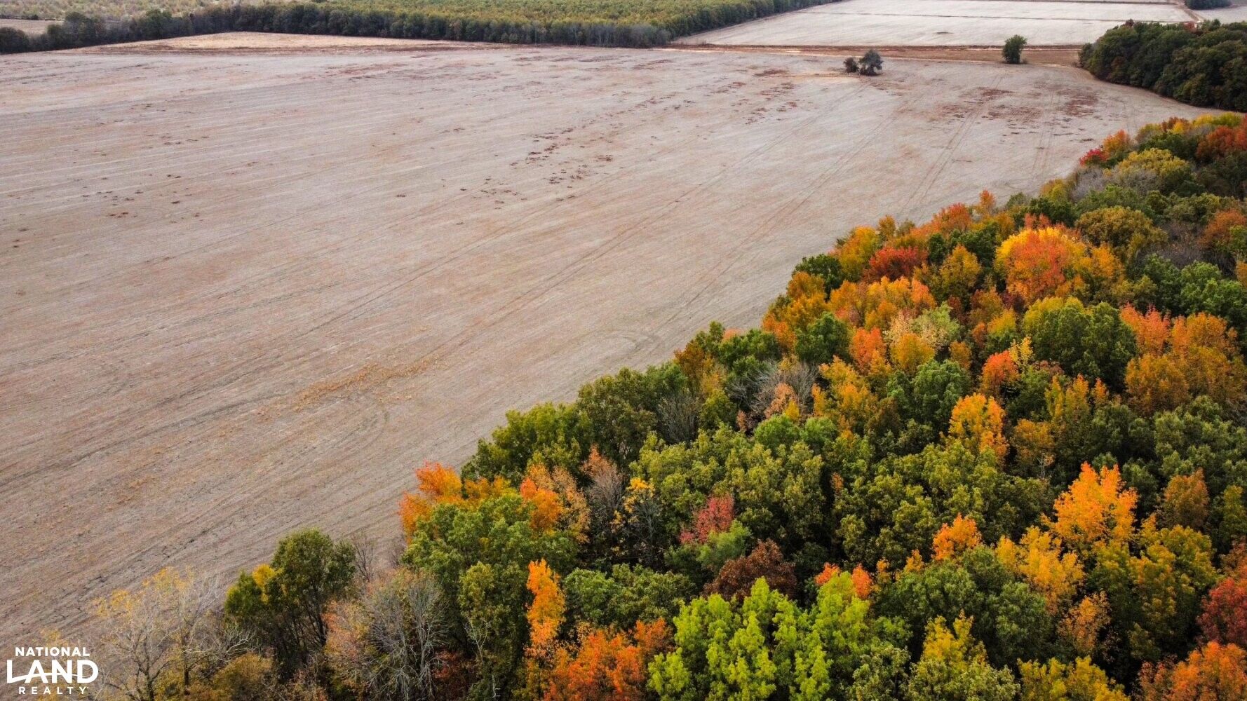 163 acres in Quitman County, Mississippi