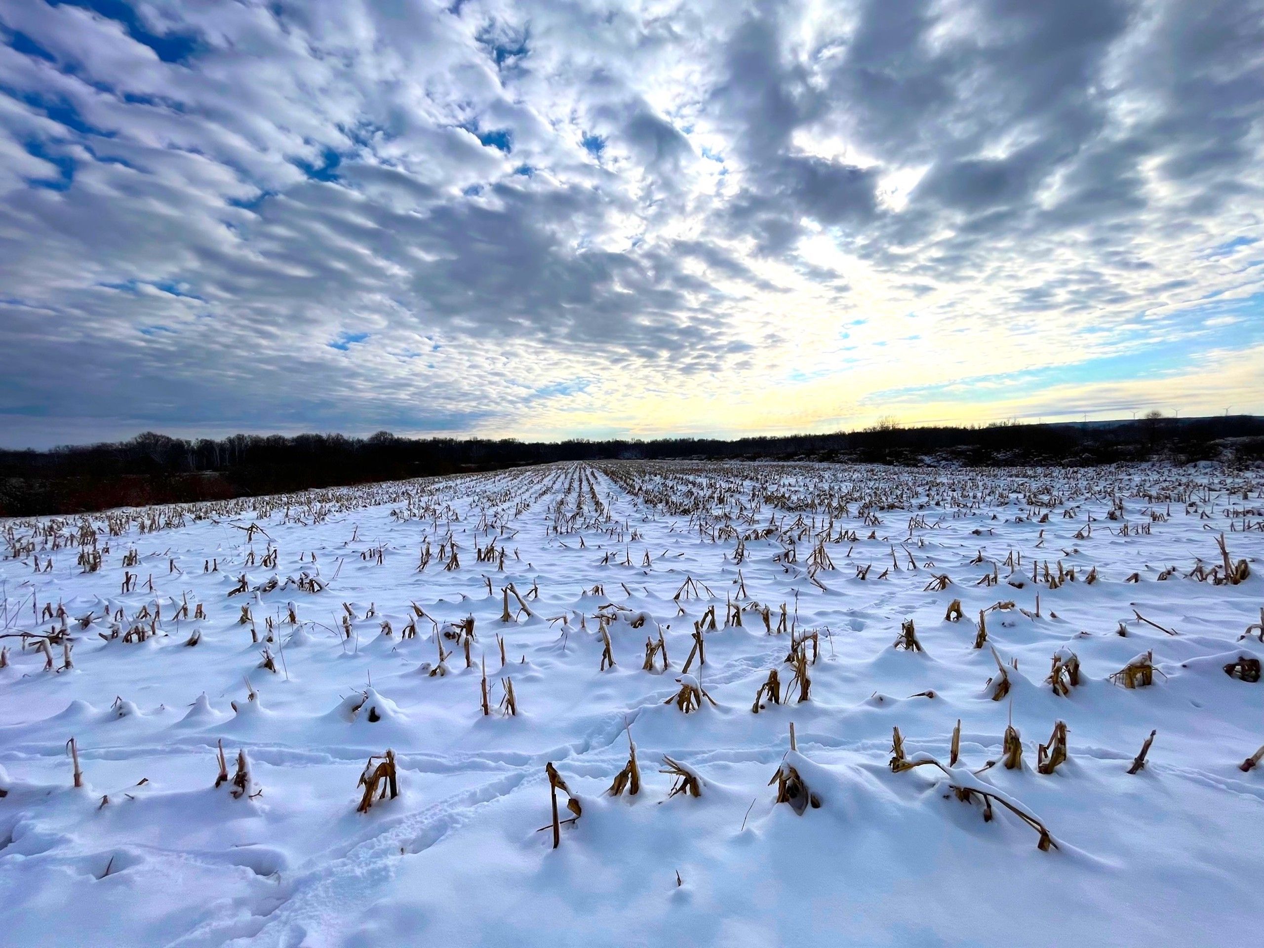 Kent Switch Road, LotWP002, South Dayton, NY 14138 MLS 11236143